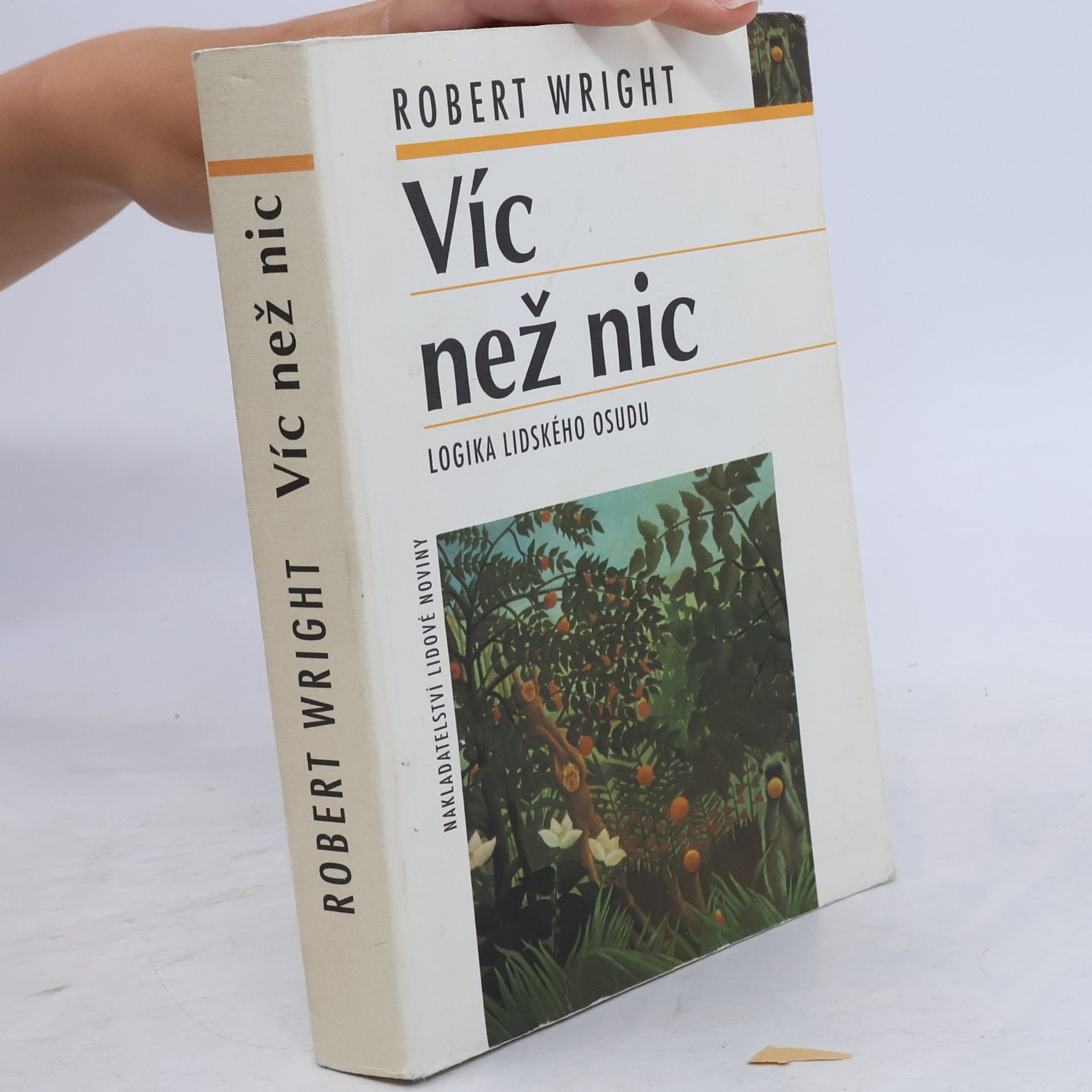 Robert Wright Víc než nic