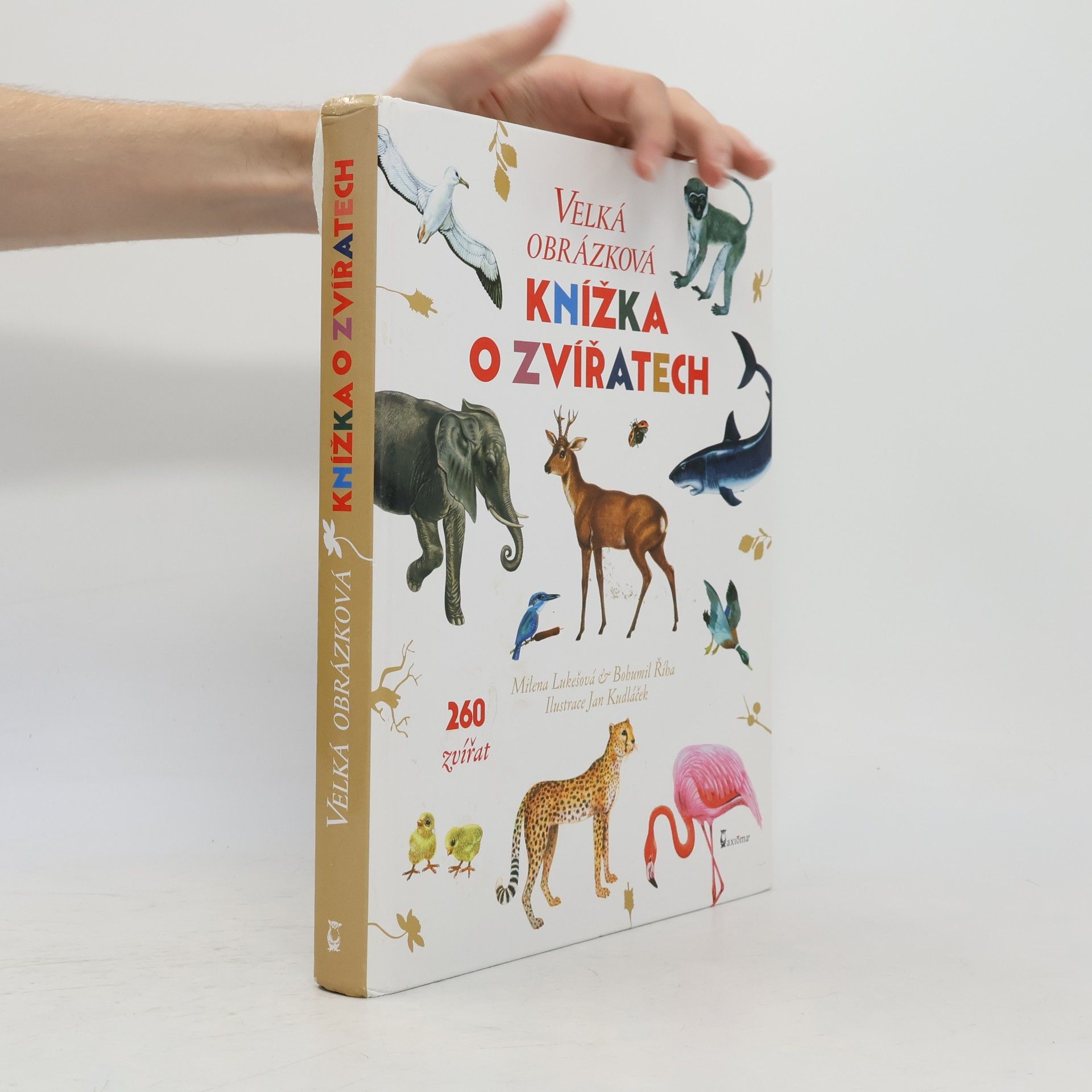 Milena Lukešová Velká obrázková knížka o zvířatech. 260 zvířat od A do Z