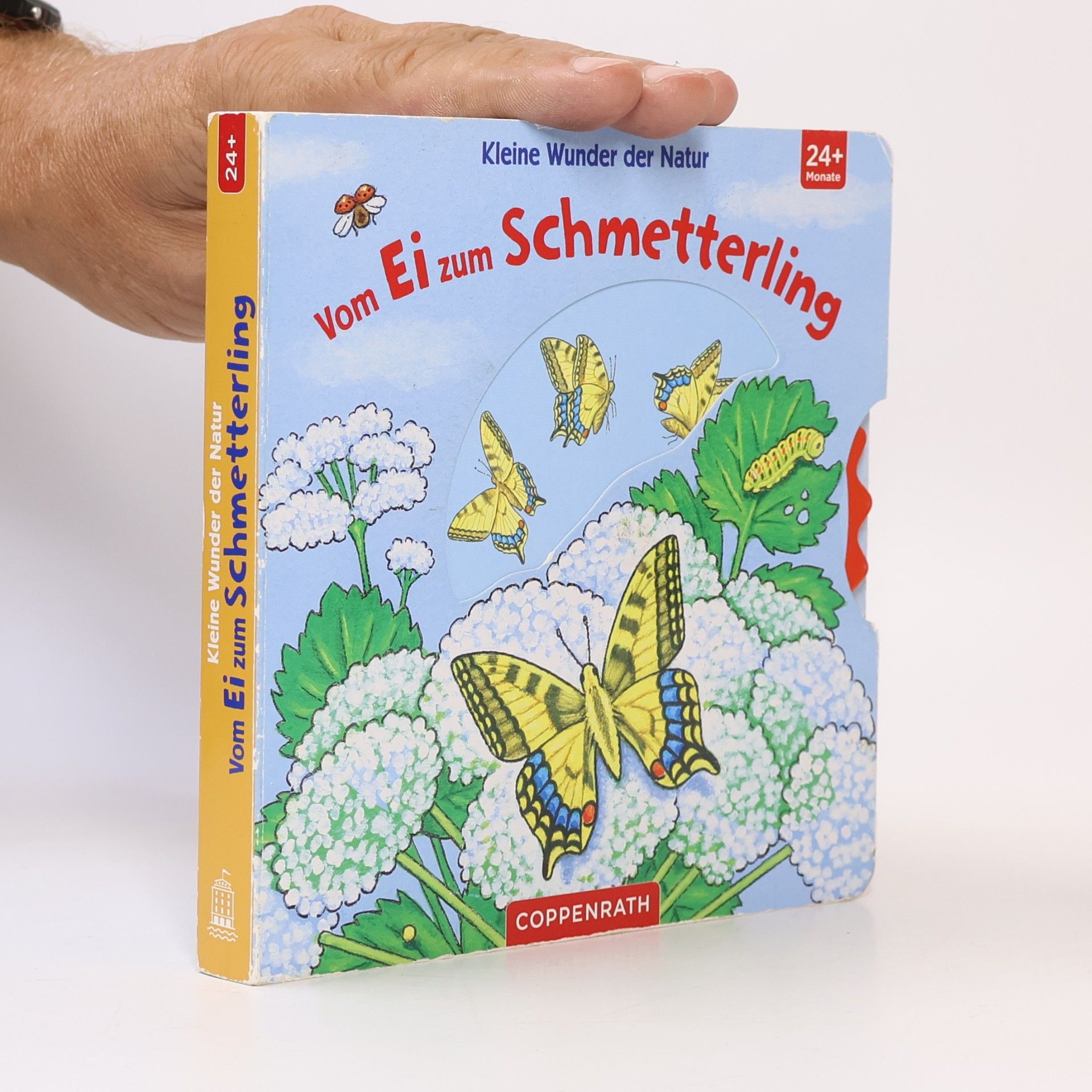 Vom Ei zum Schmetterling