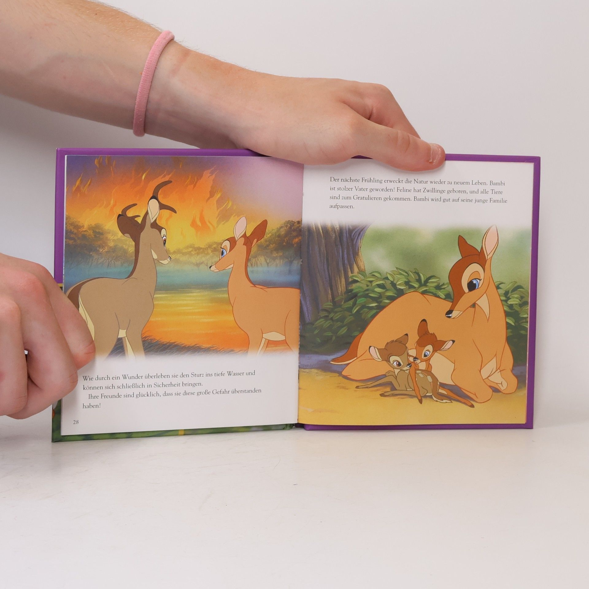 Disney-Schuber: Disney Tiergeschichten