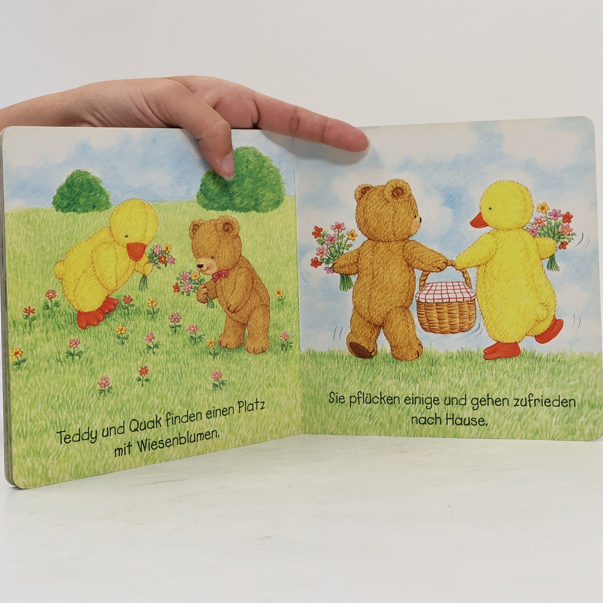 Linda Worrall Bärchens Ausflug, m. Plüschbär: Teddy und Quak