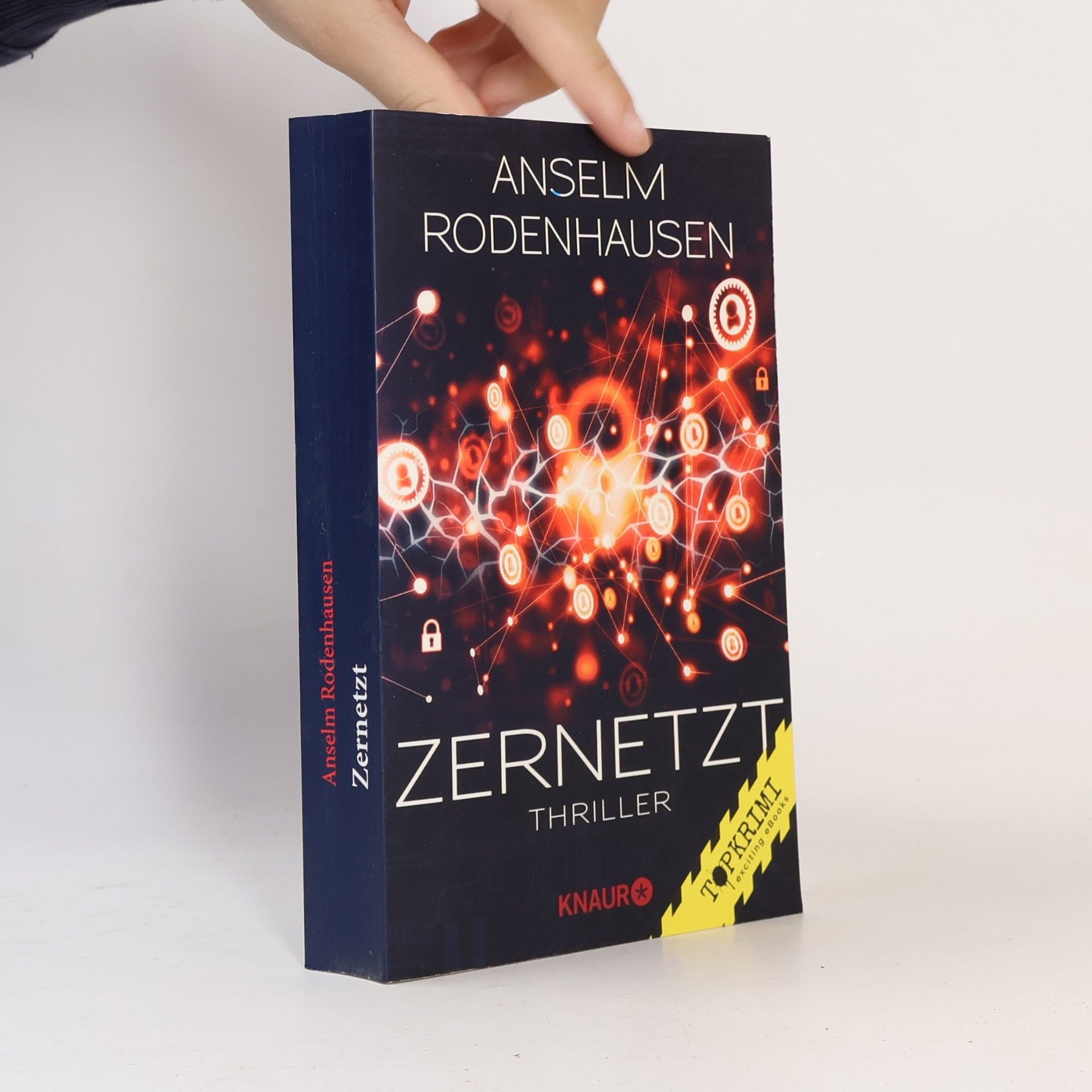 Anselm Rodenhausen Zernetzt