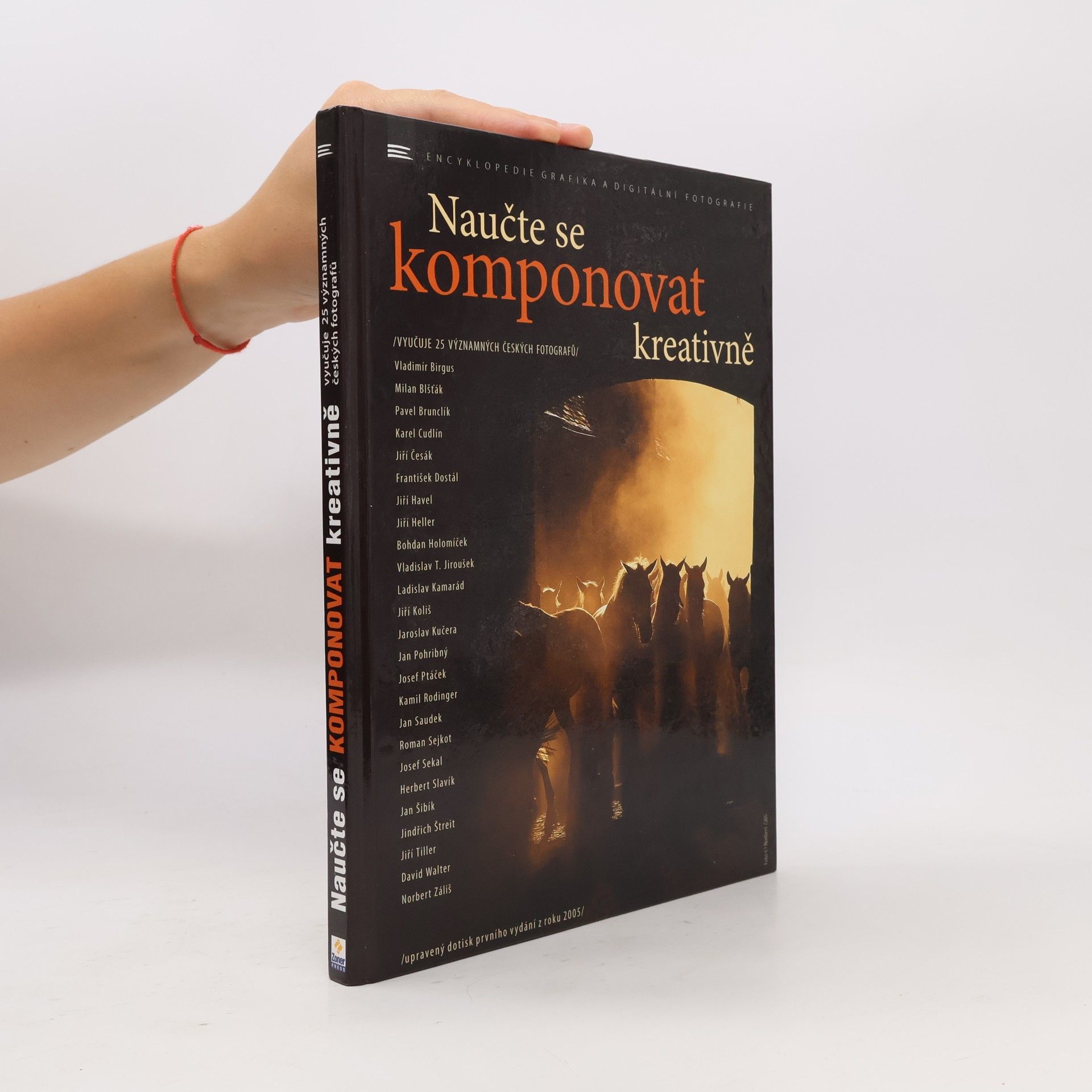 Vladimír Birgus Naučte se komponovat kreativně