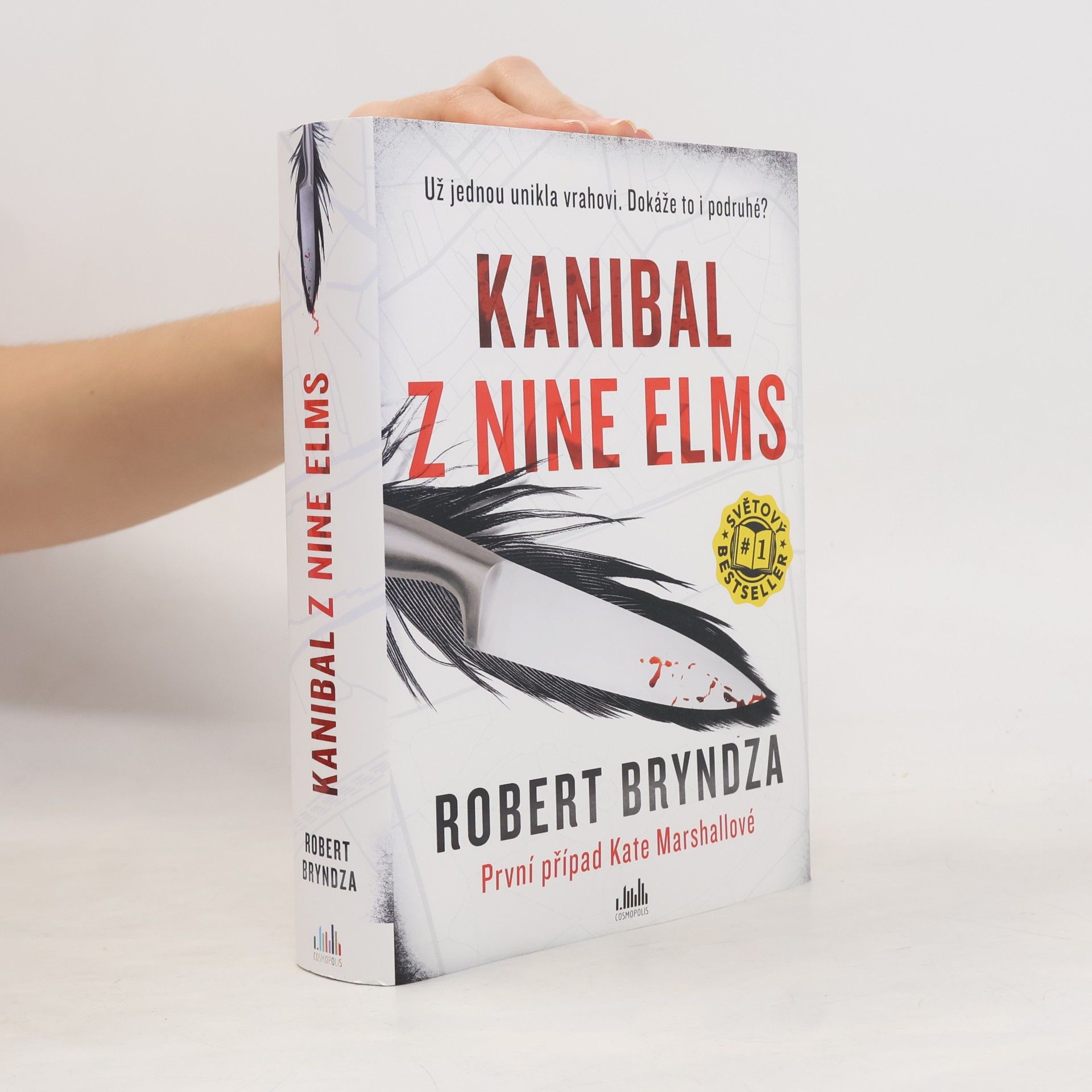 Robert Bryndza Kanibal z Nine Elms
