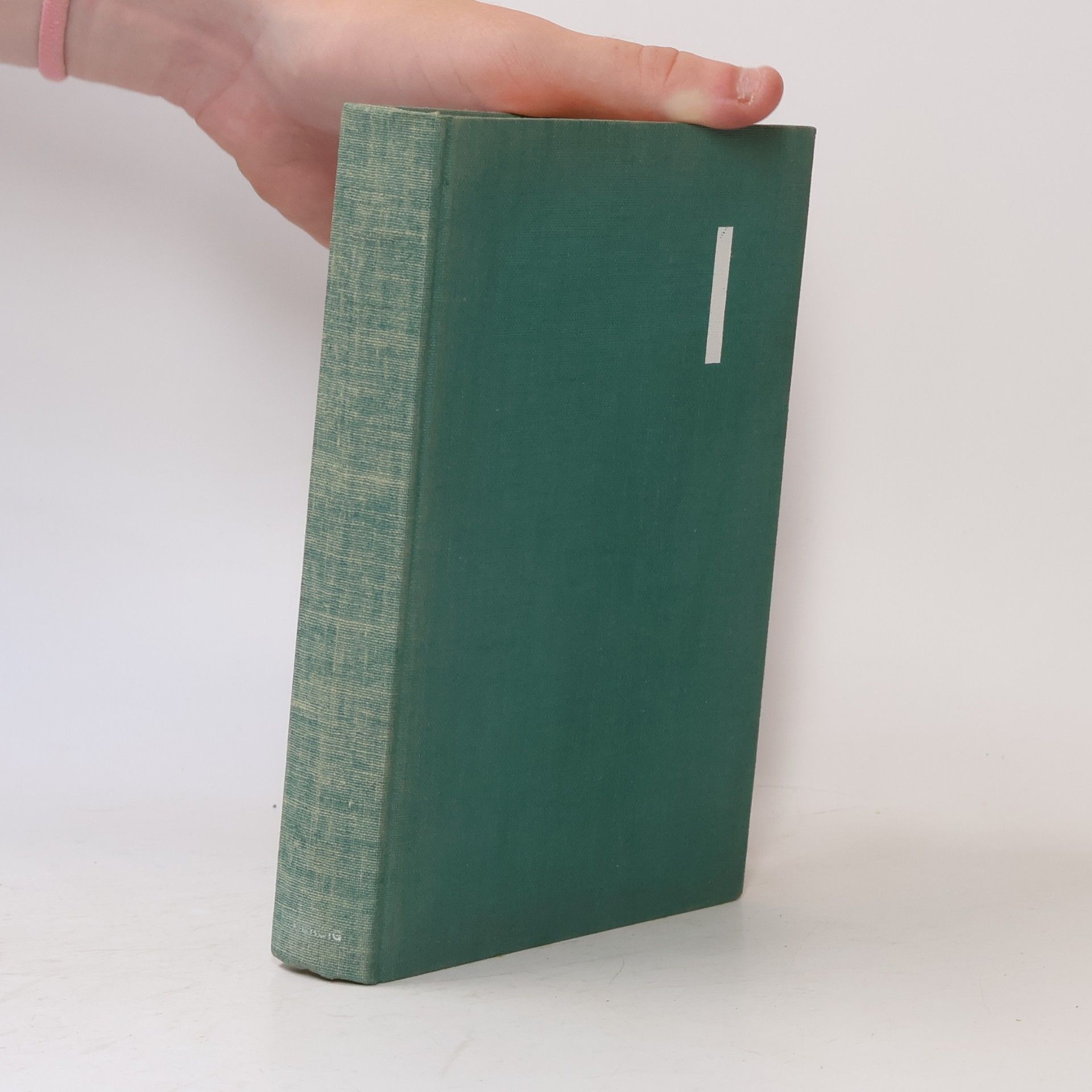 Die Bücher der Neunzehn 88
