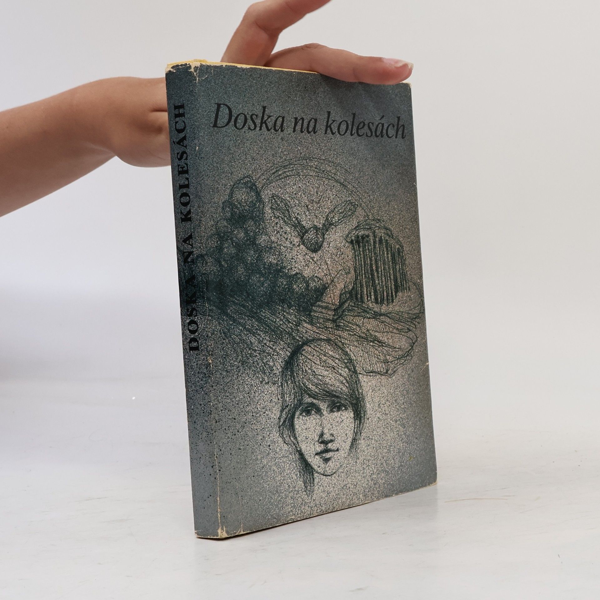 Zlatica Hlaváčová Doska na kolesách
