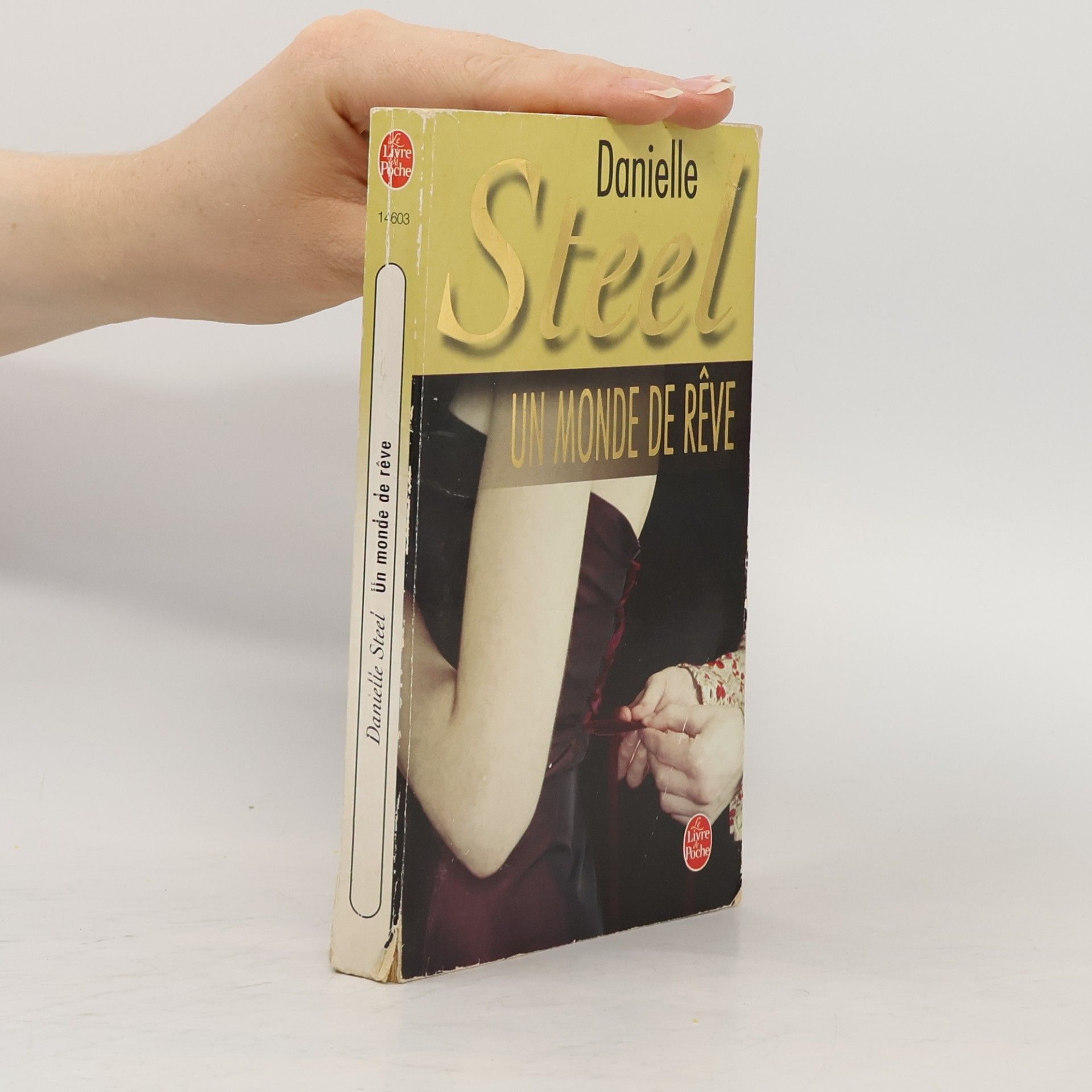 Danielle Steel Un monde de rêve
