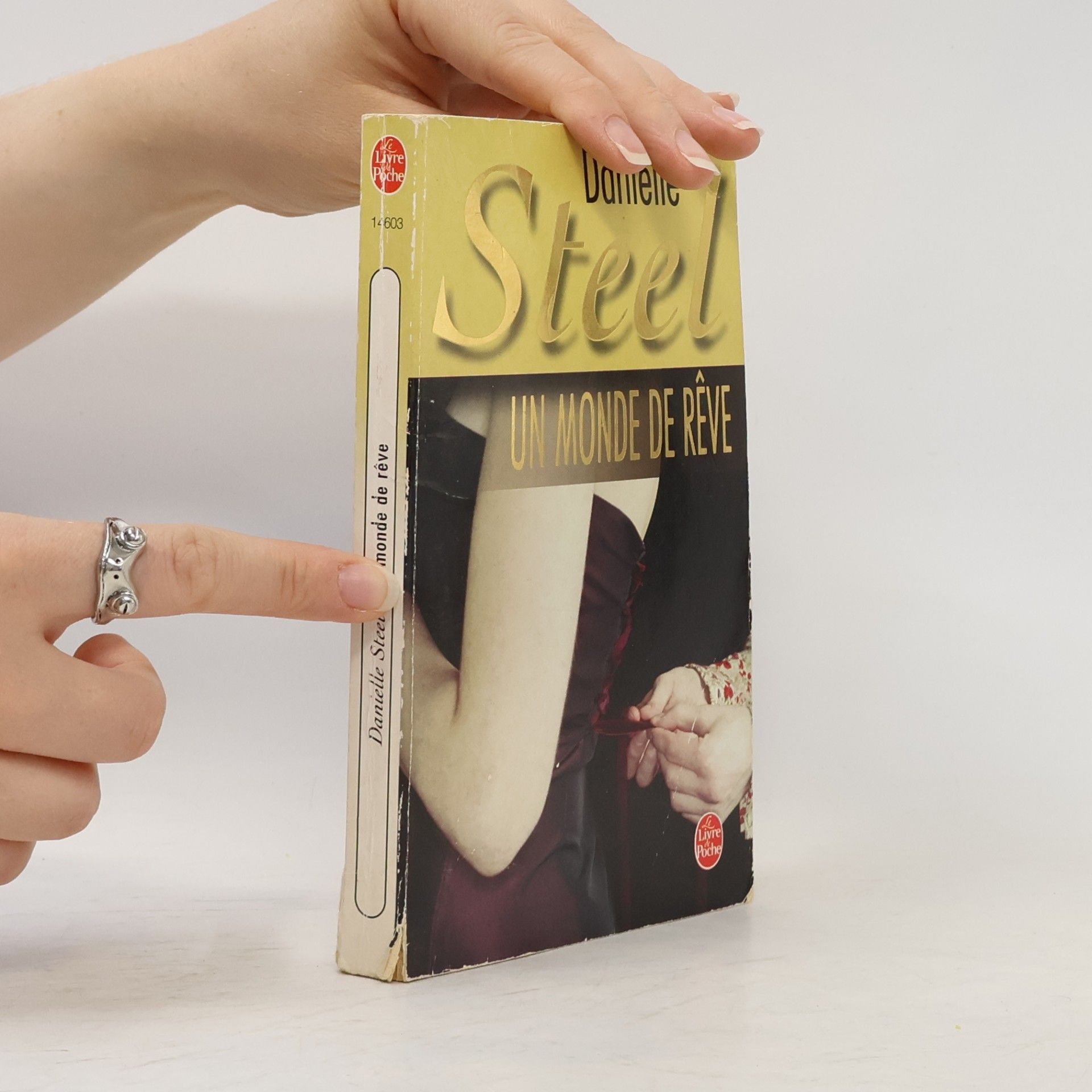 Danielle Steel Un monde de rêve