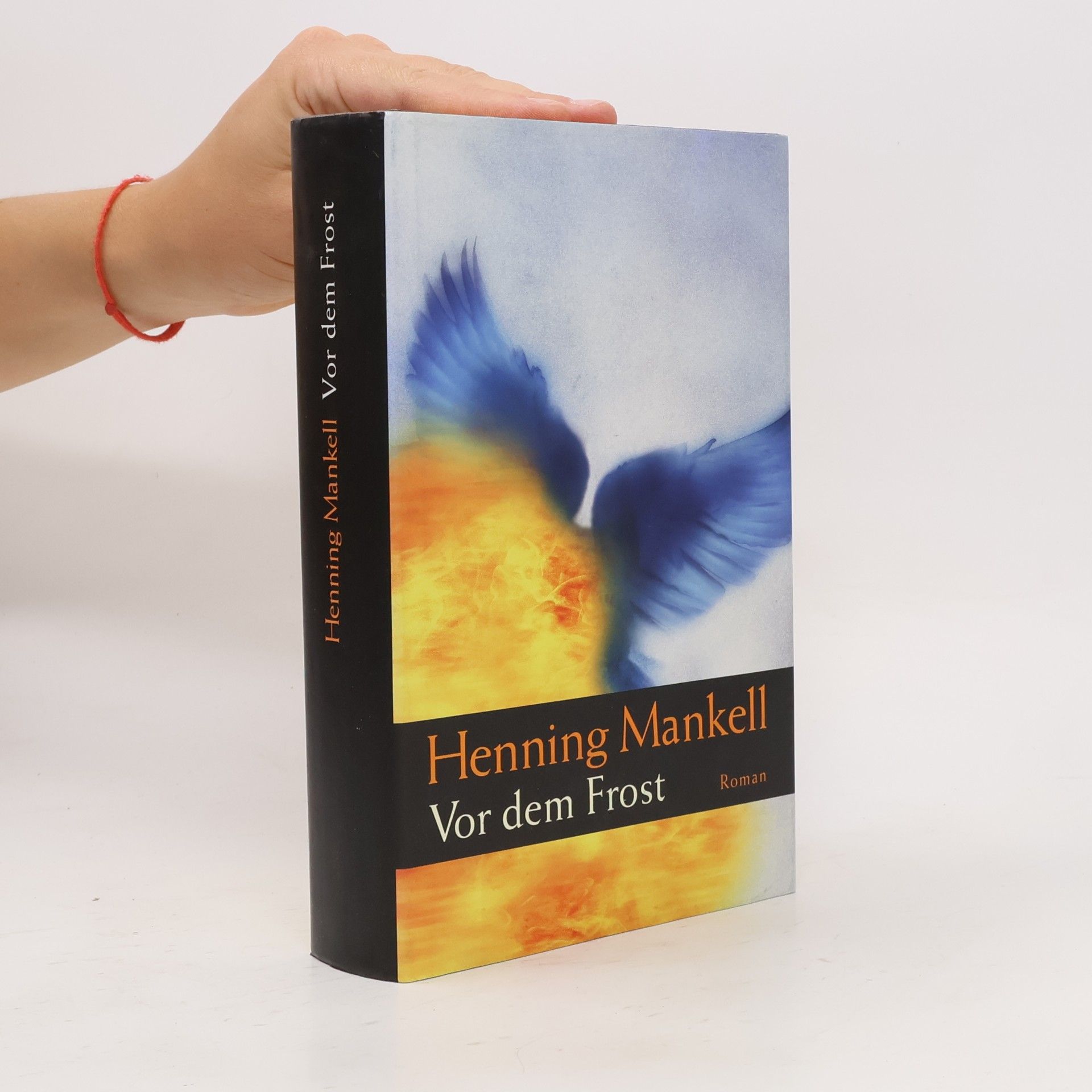 Henning Mankell Vor dem Frost