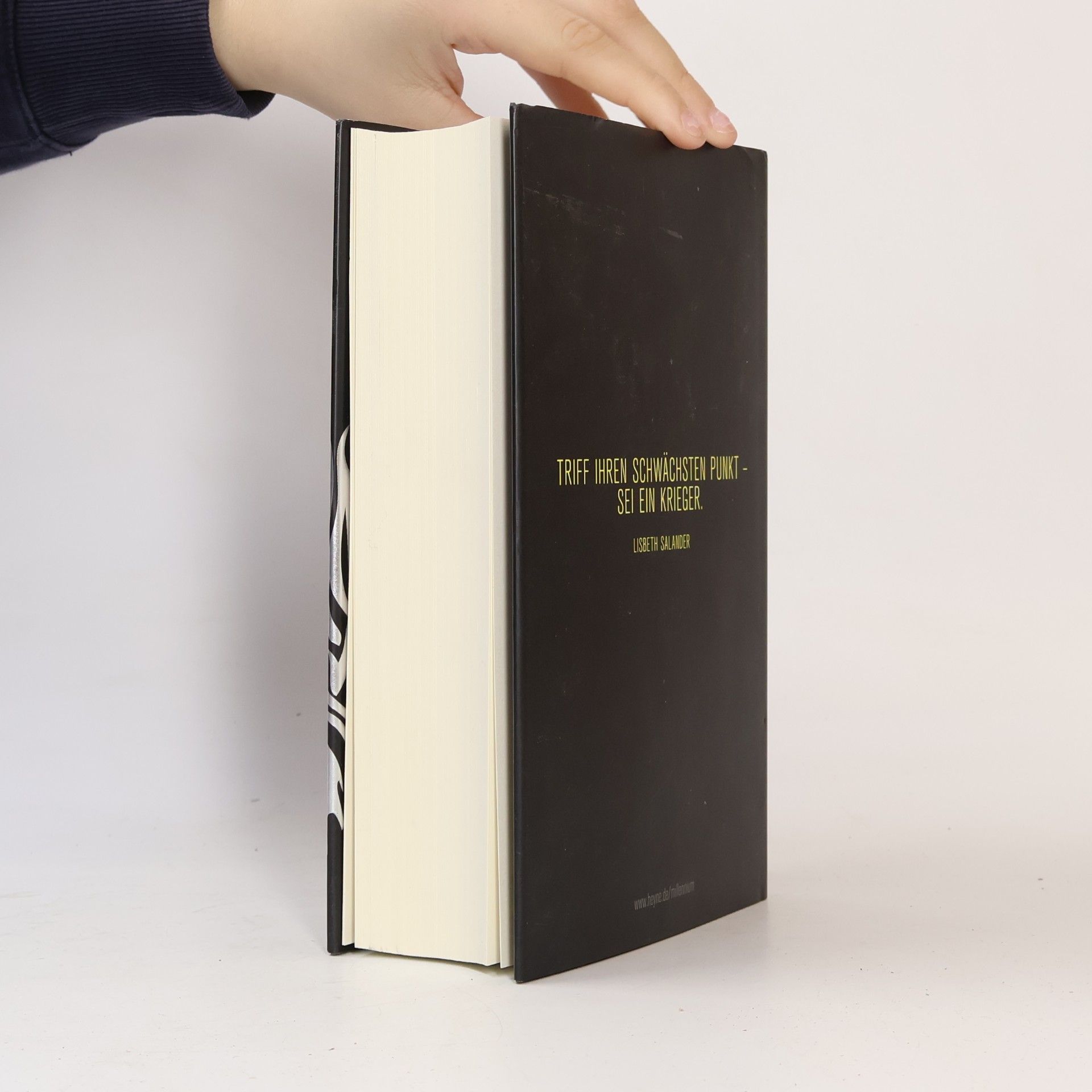 David Lagercrantz Verschwörung