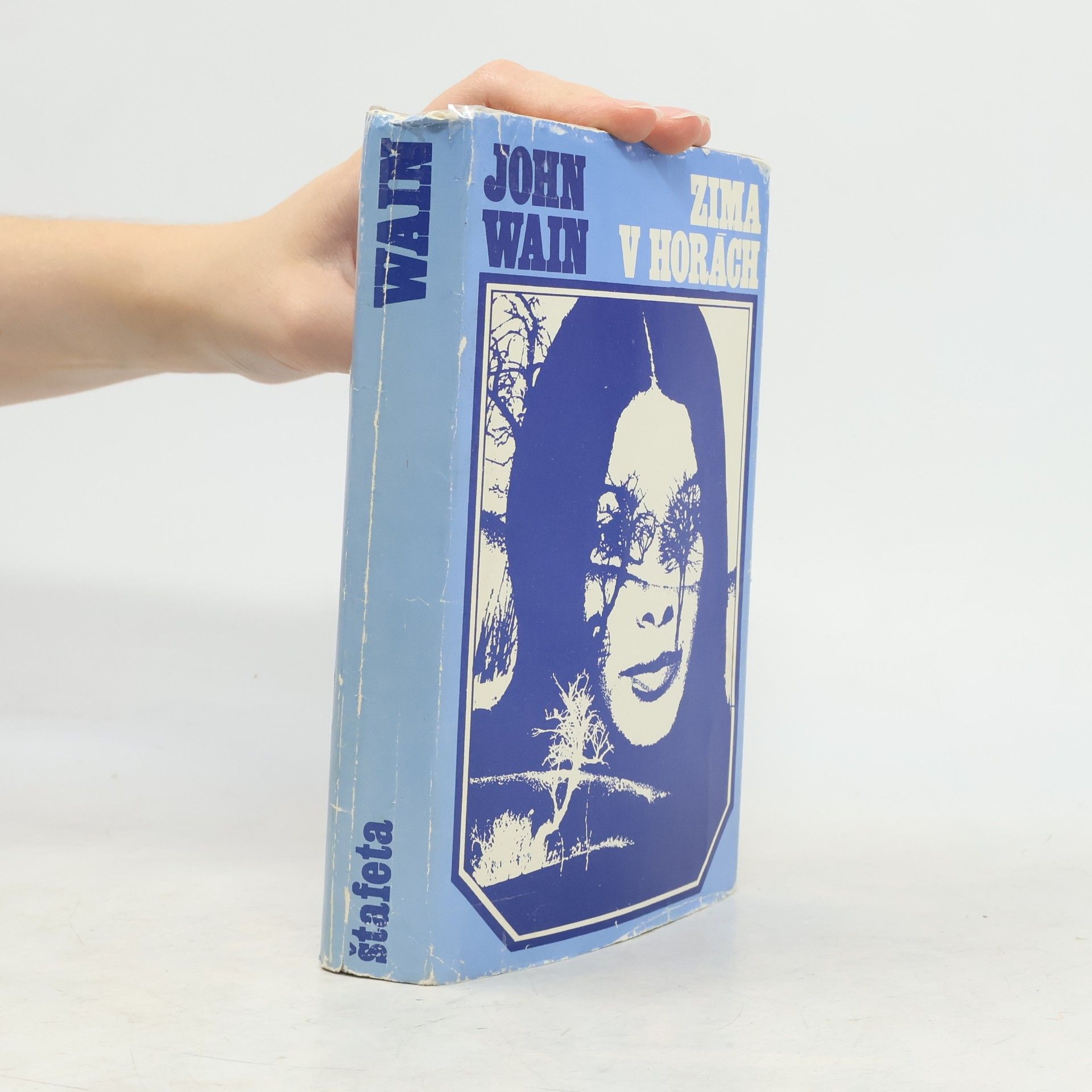 John Wain Zima v horách