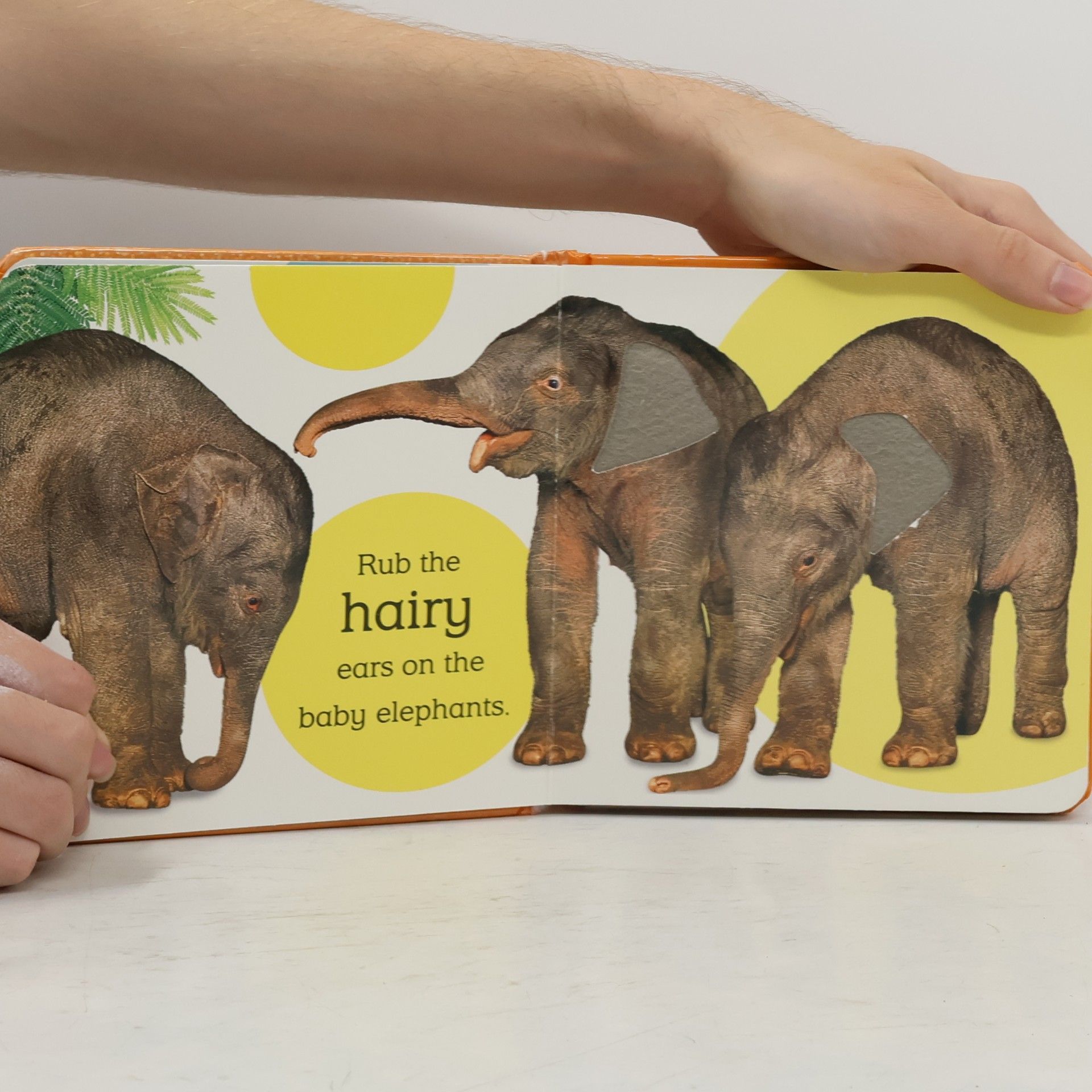 Touch and Feel: Baby Animals