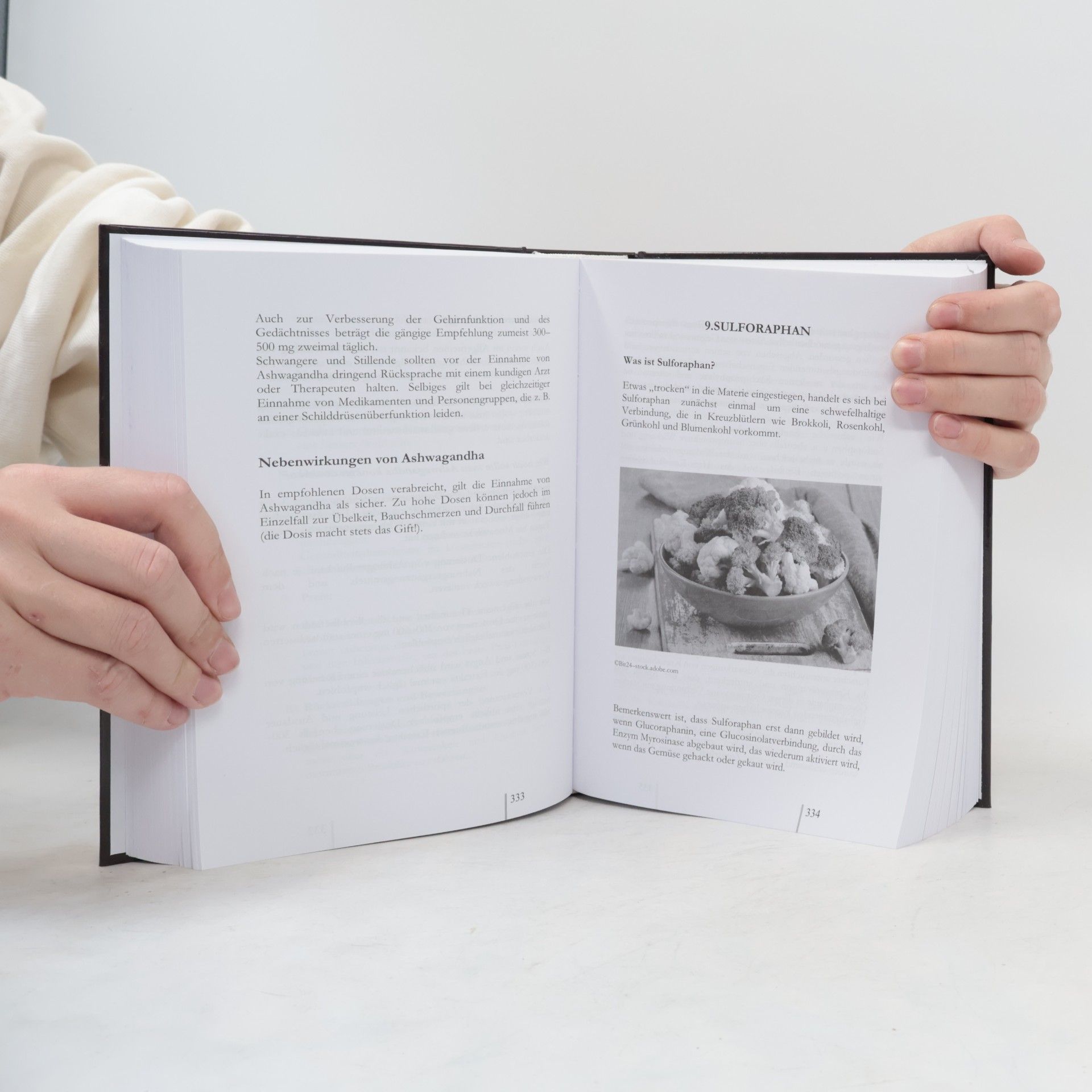 Thomas Chrobok Codex Humanus - Buch der Menschlichkeit Band 4