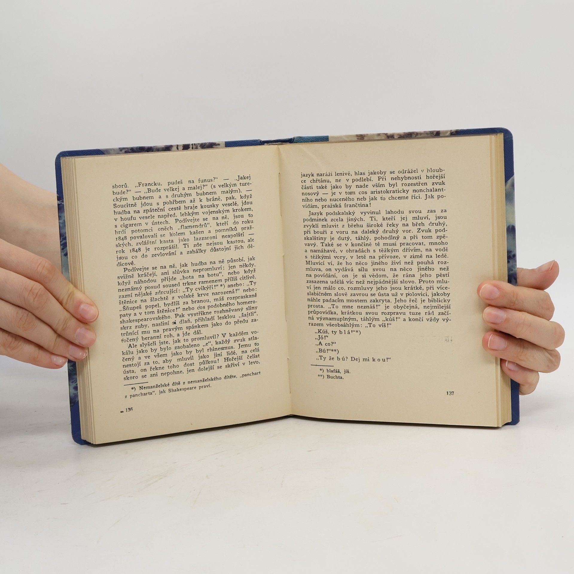 Jan Neruda Studie krátké a kratší