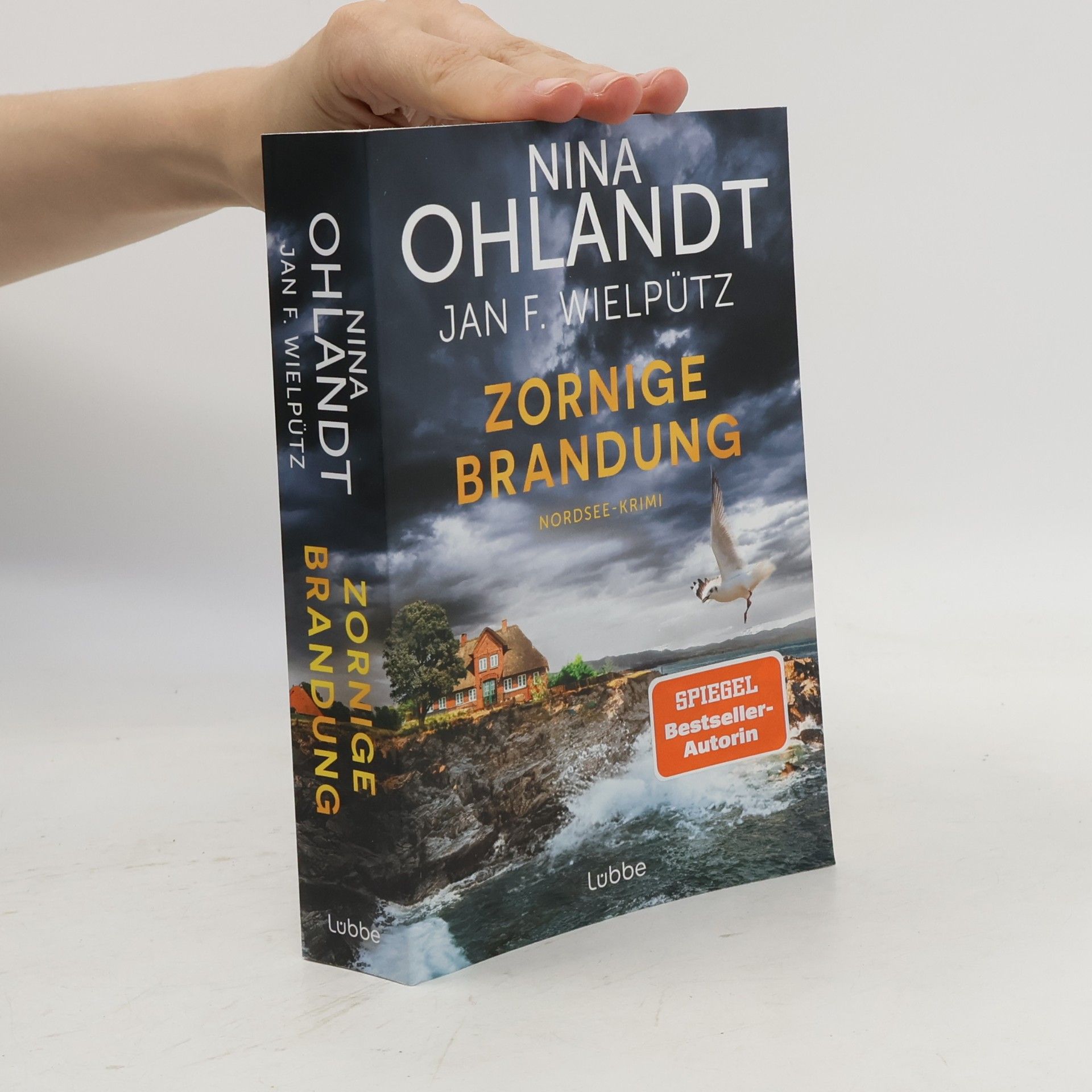 Nina Ohlandt Zornige Brandung