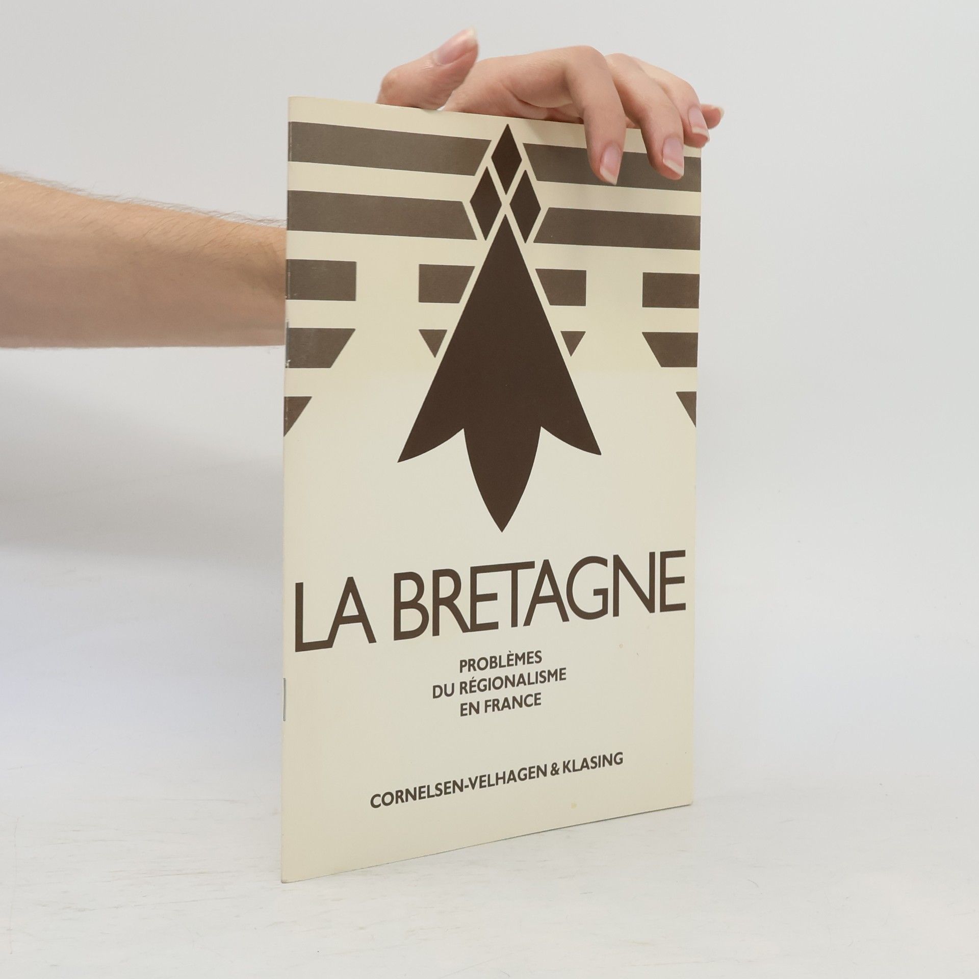 Collectif d'auteurs La Bretagne. Problèmes du régionalisme en France