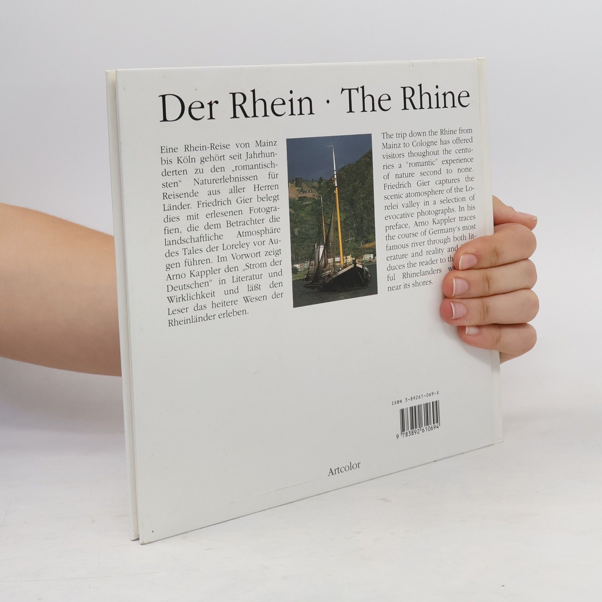 Friedrich Gier Der Rhein