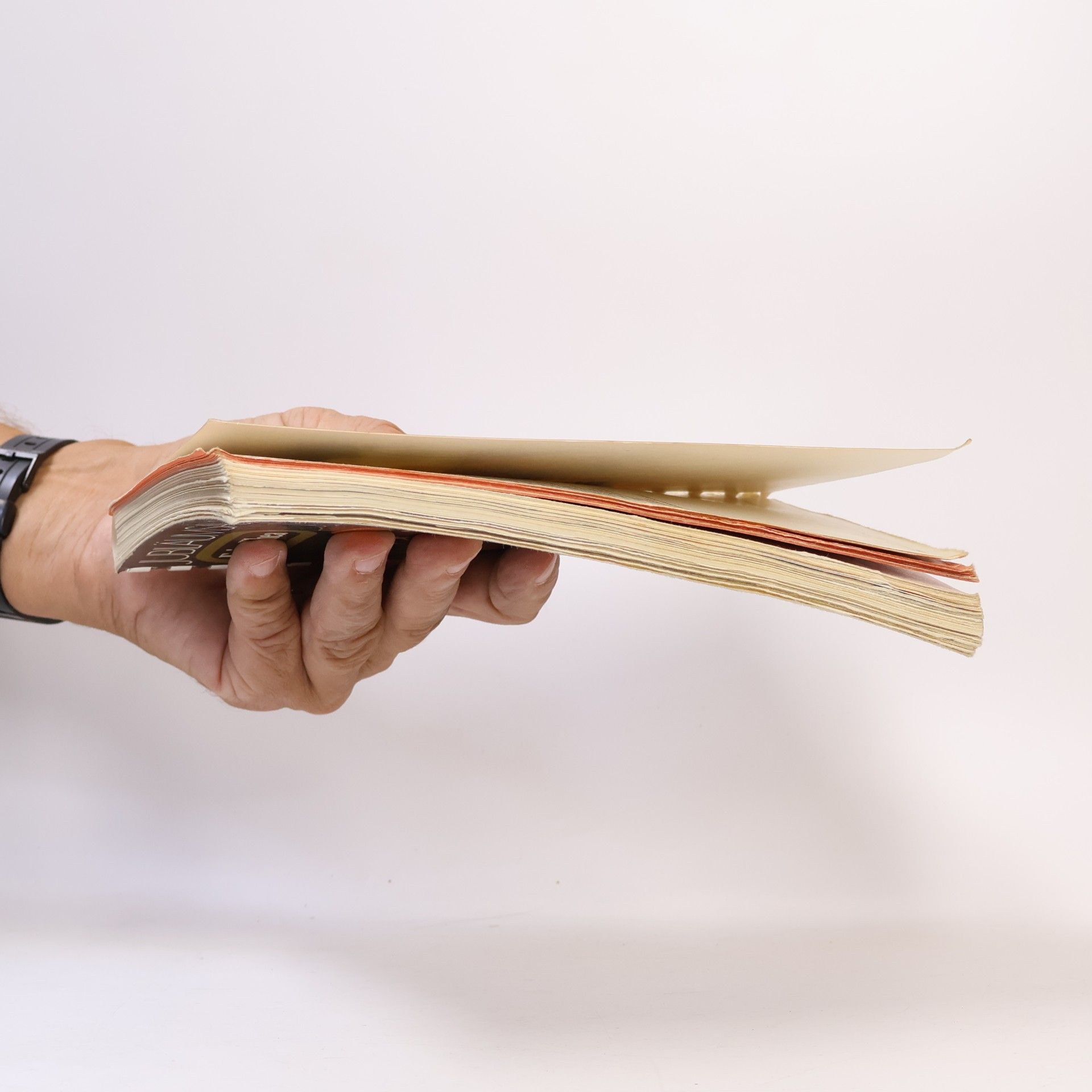 kolektiv Feine Thea. Kochbuch No. 4. Jubiläumsausgabe