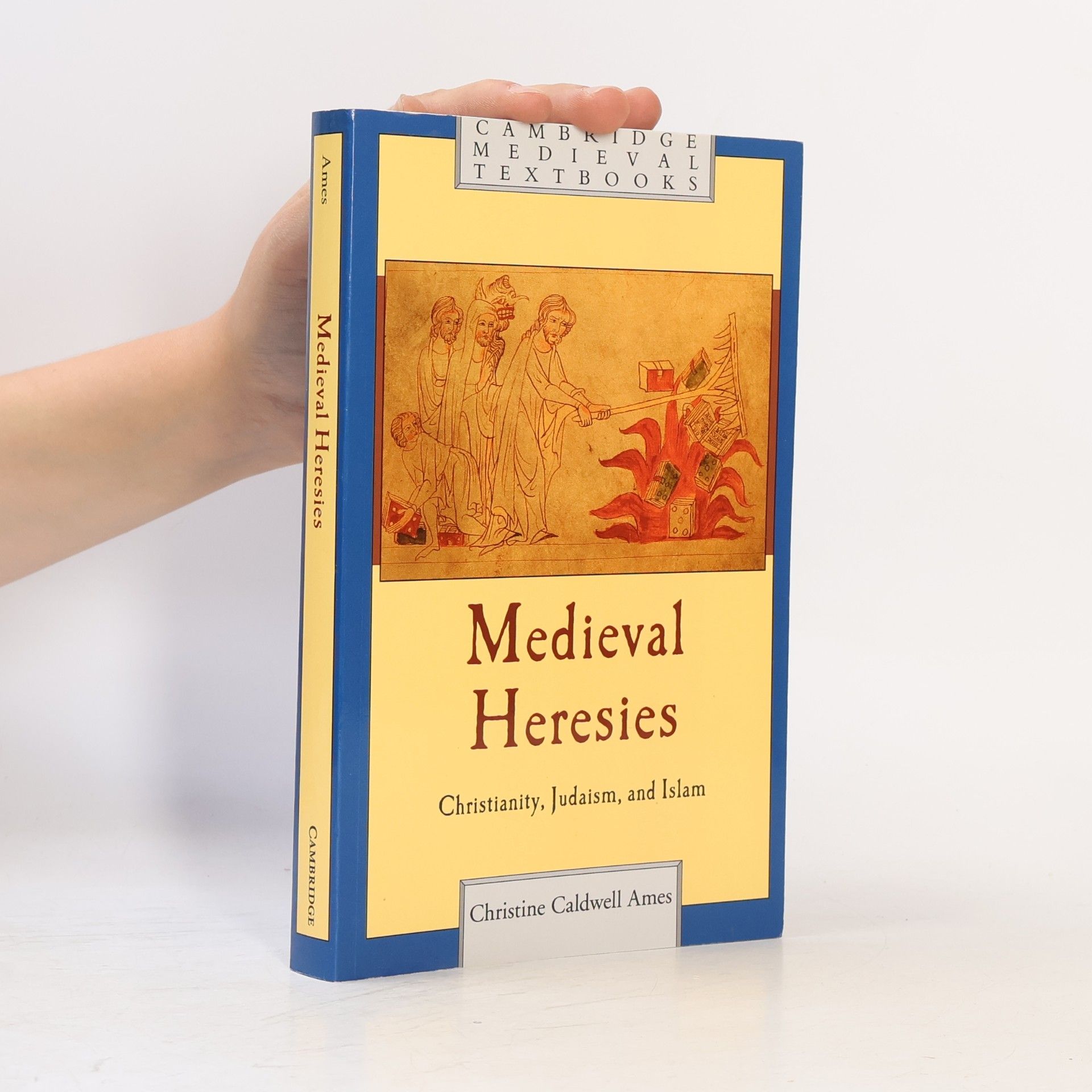 Medieval Heresies