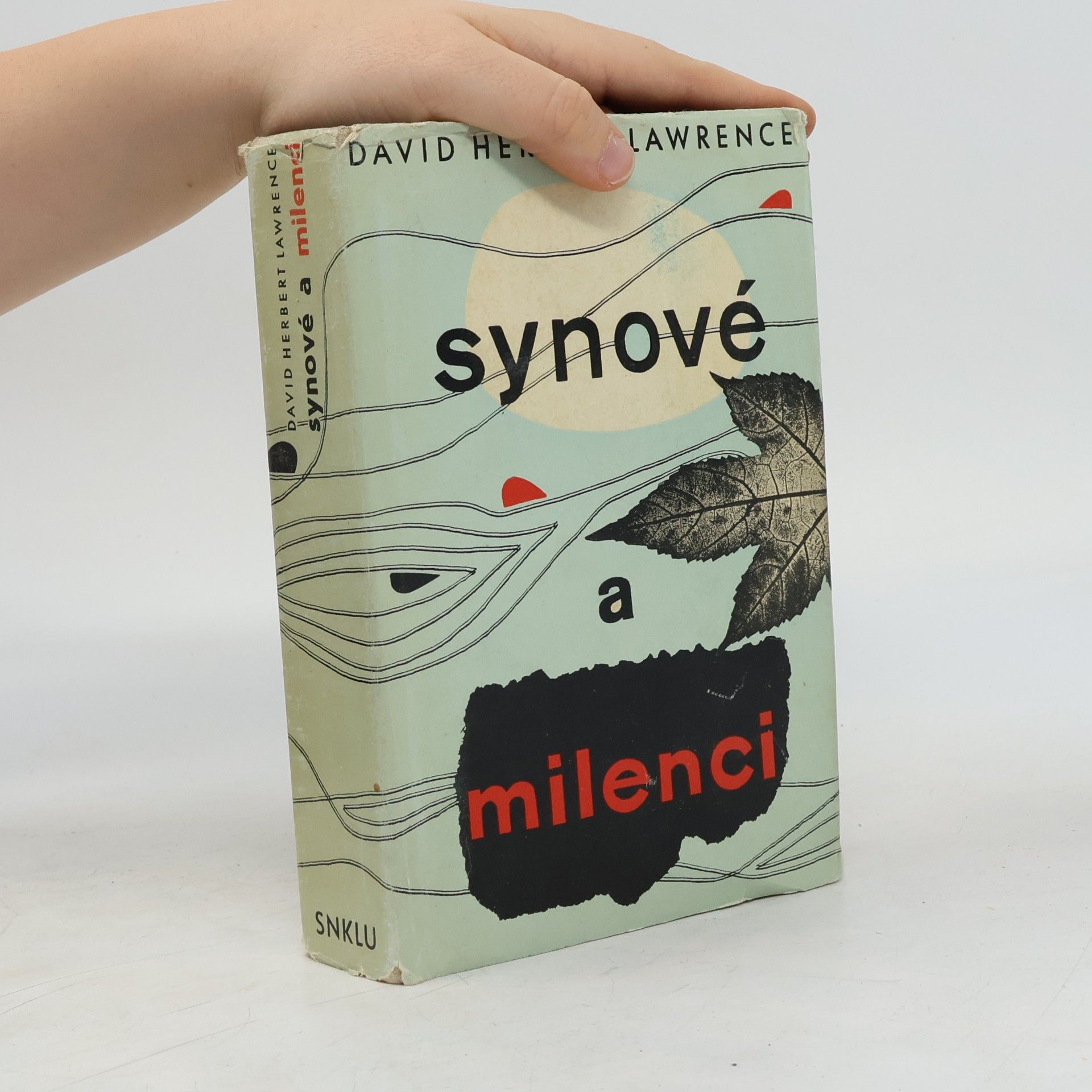 David Herbert Lawrence Synové a milenci