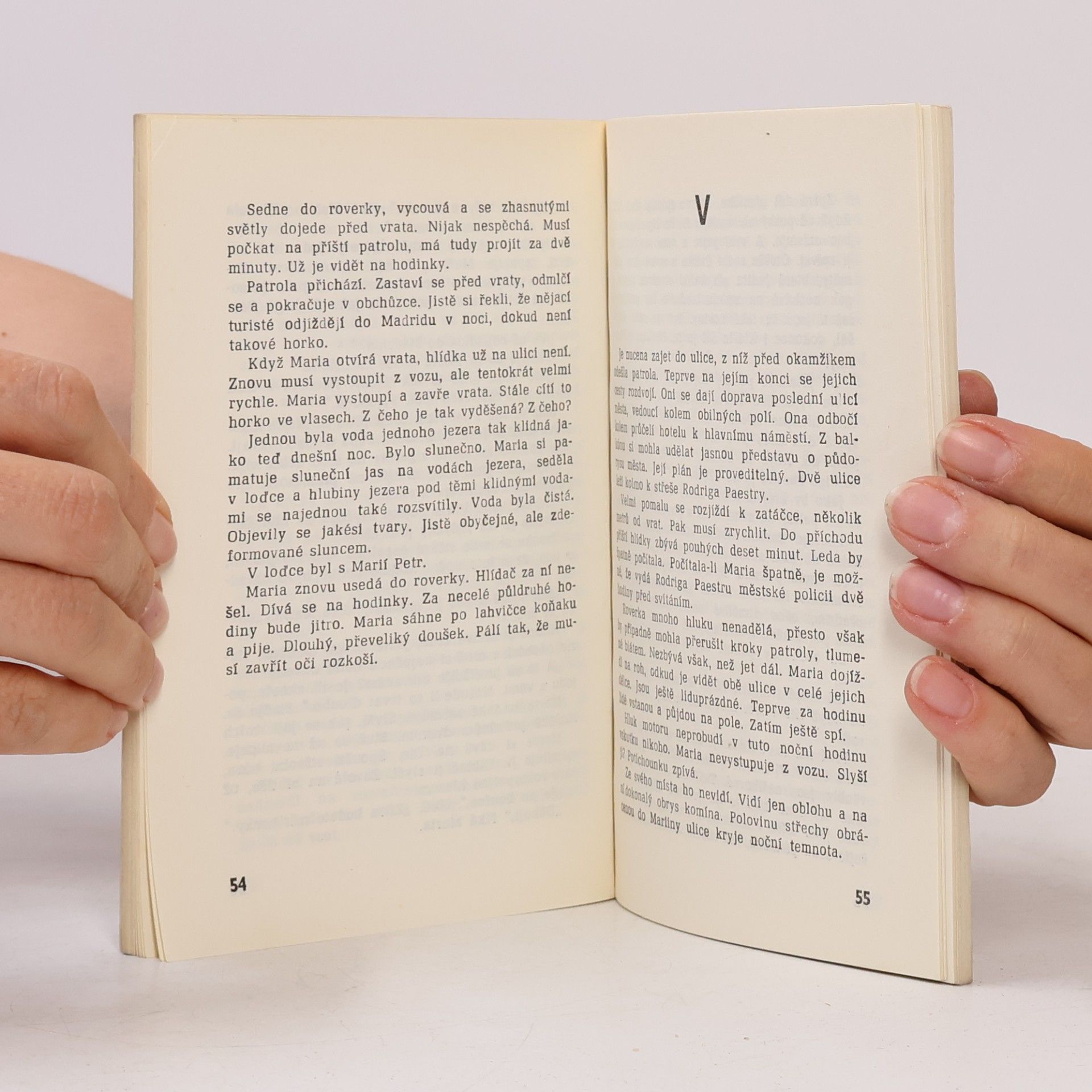 Marguerite Duras Je léto, půl jedenácté večer