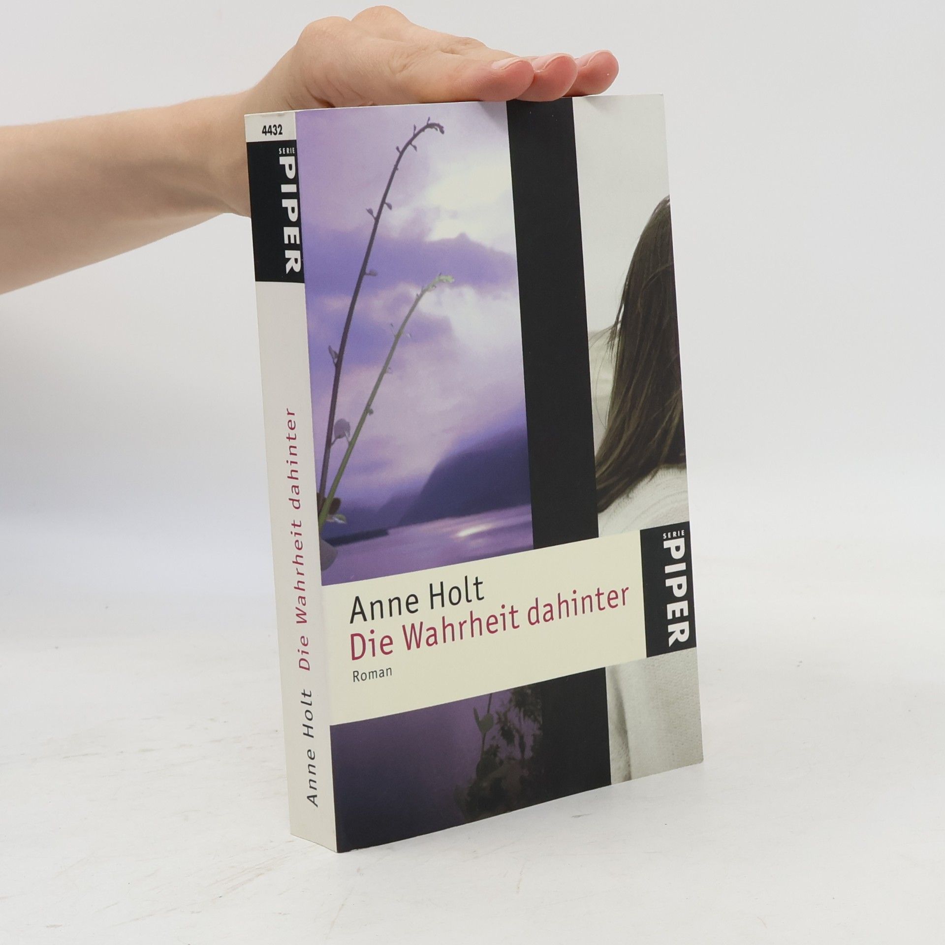 Anne Holt Die Wahrheit dahinter
