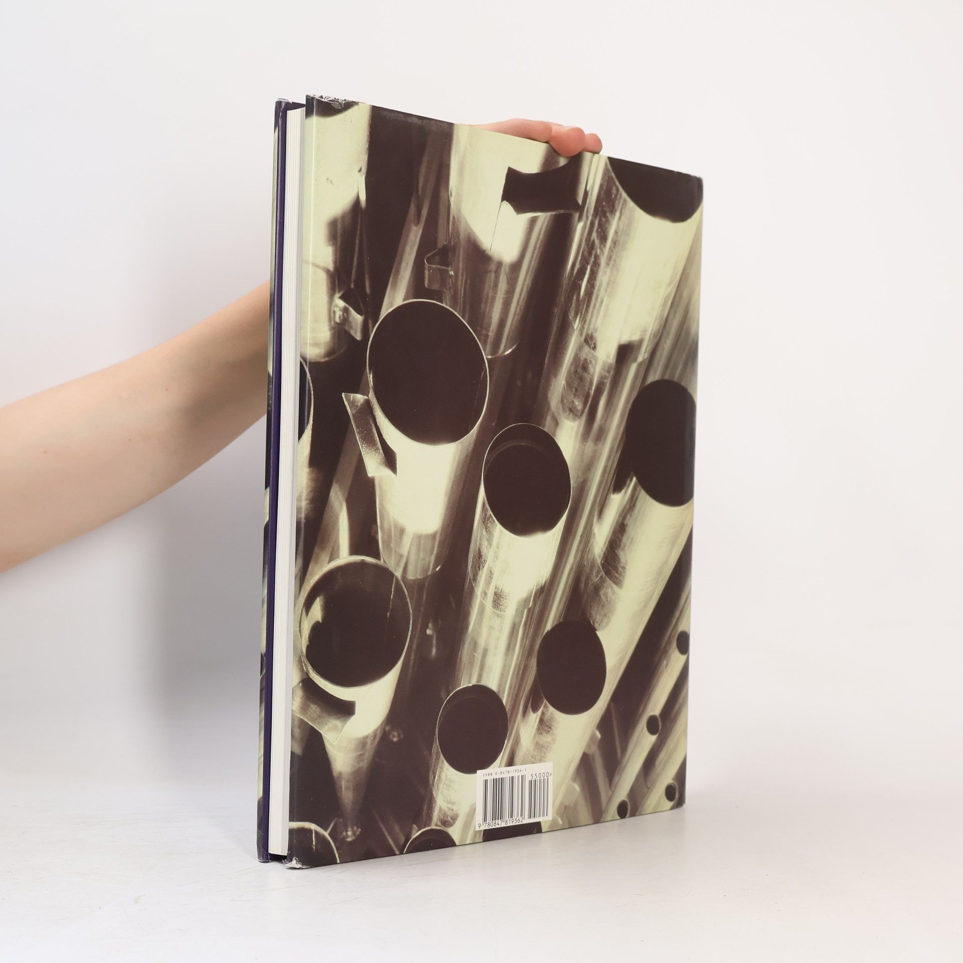 Marianne Fulton Pictorialism into Modernism