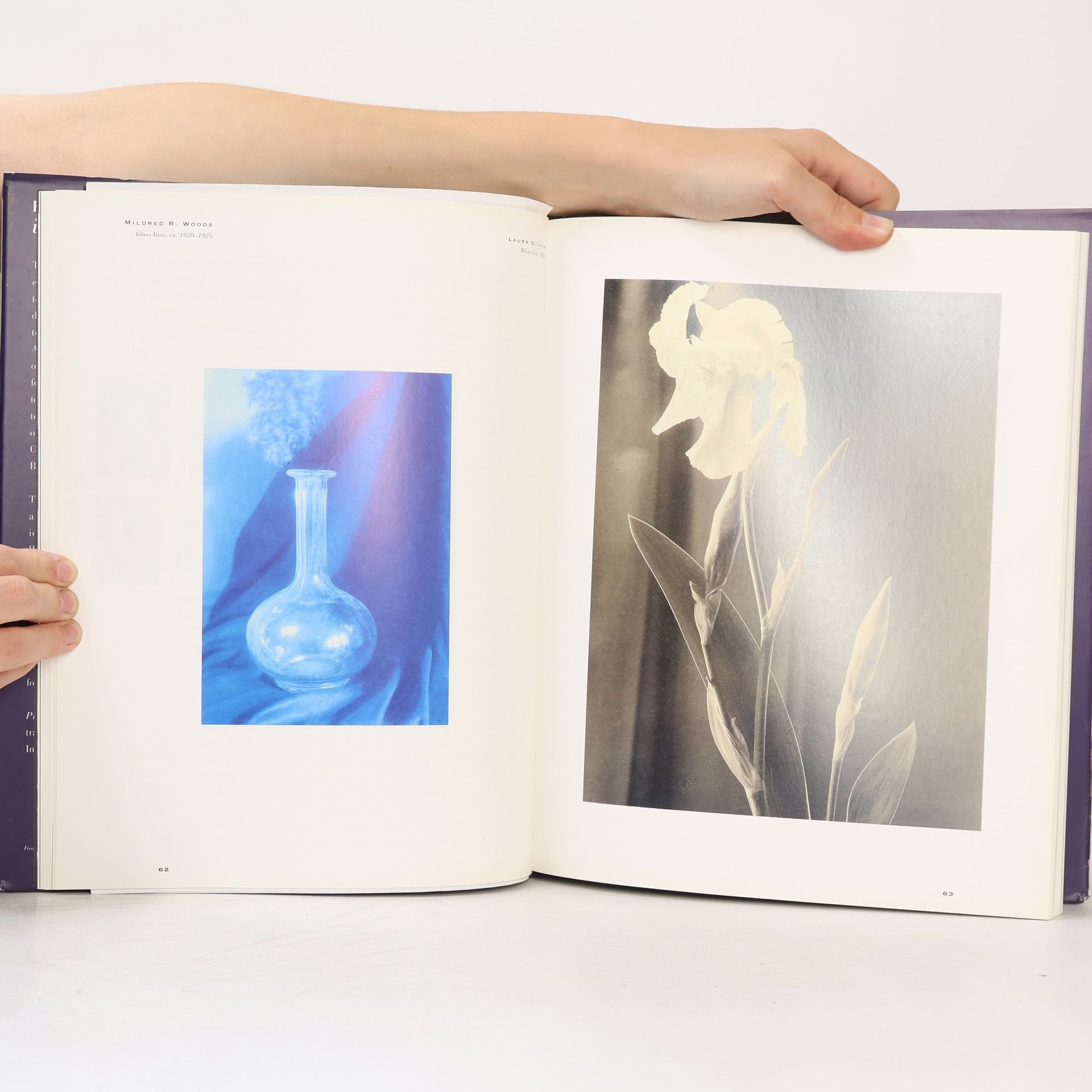 Marianne Fulton Pictorialism into Modernism