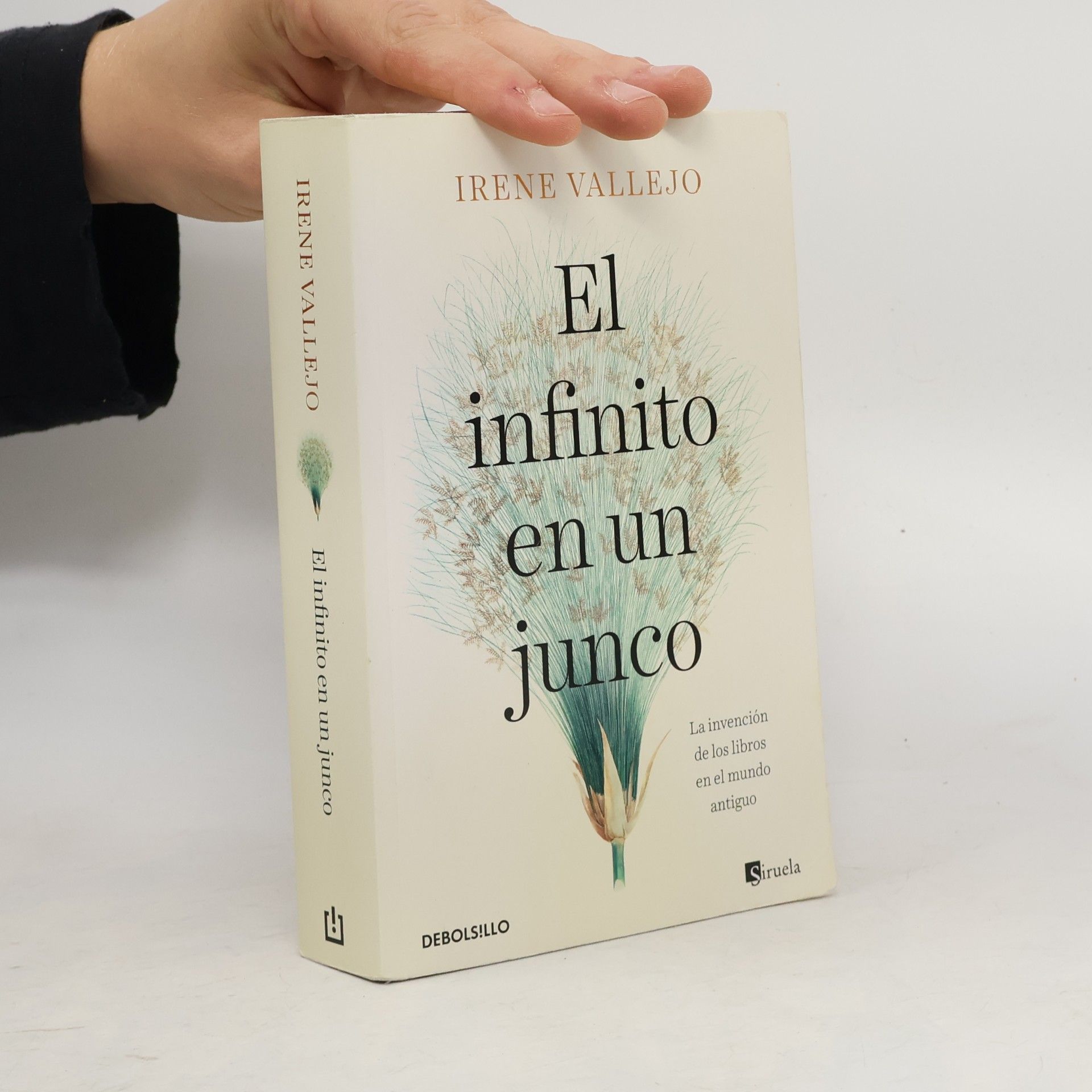 Irene Vallejo El infinito en un junco