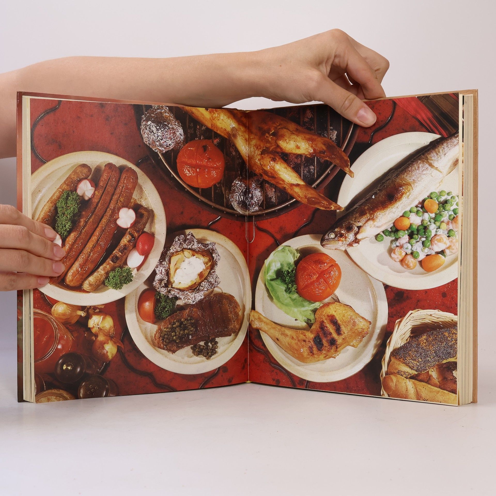 Roland Gööck Grillen: 666 köstliche Grillrezepte
