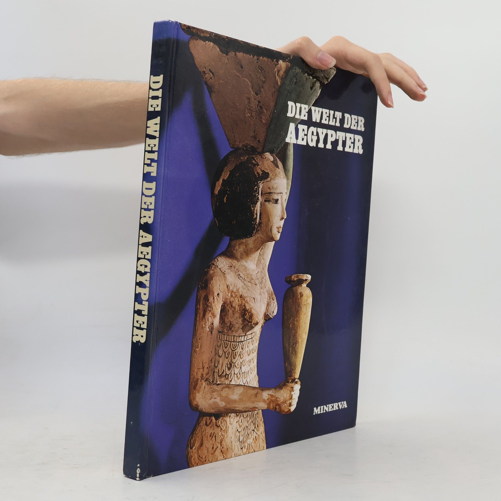 Various authors Die Welt der Aegypter