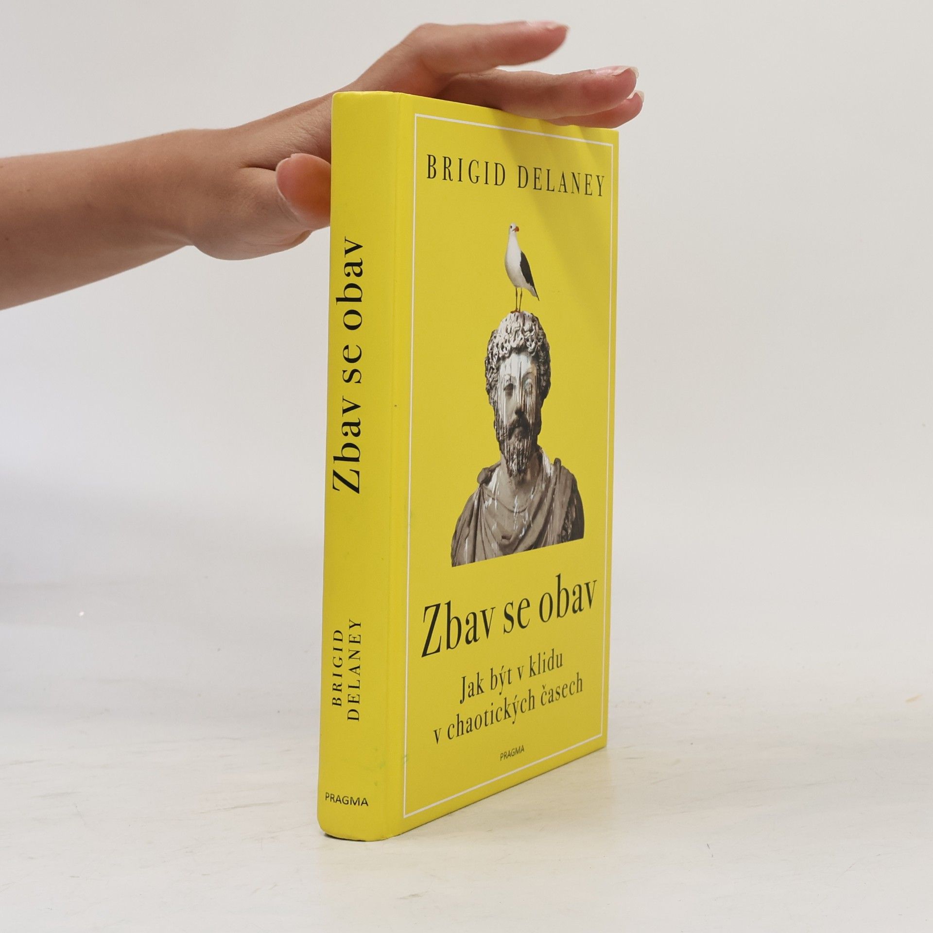 Brigid Delaney Zbav se obav. Jak být v klidu v chaotických časech