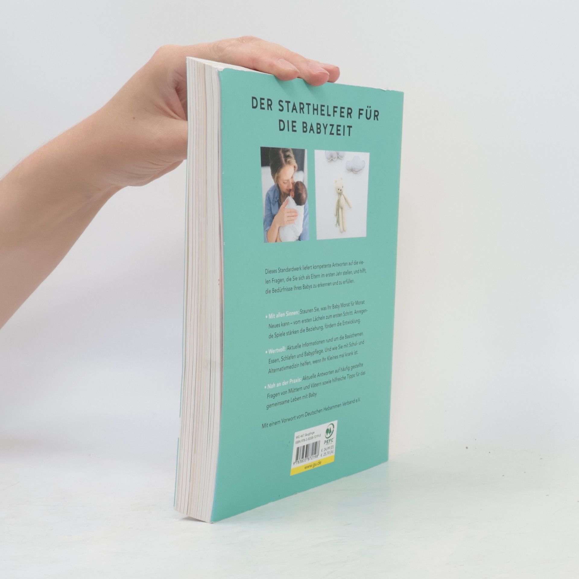 Birgit Sesterhenn Das große GU Babybuch