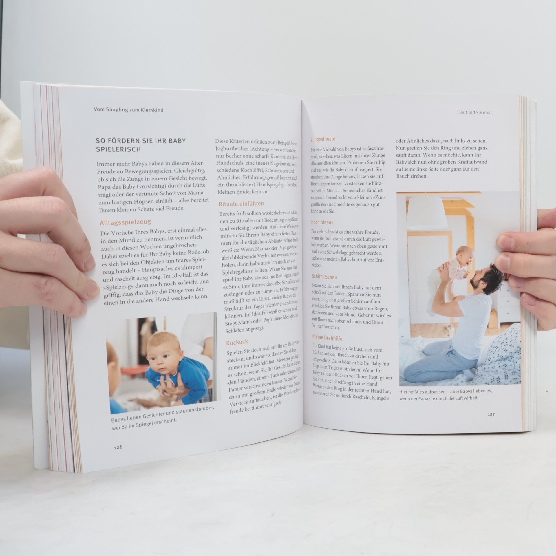 Birgit Sesterhenn Das große GU Babybuch