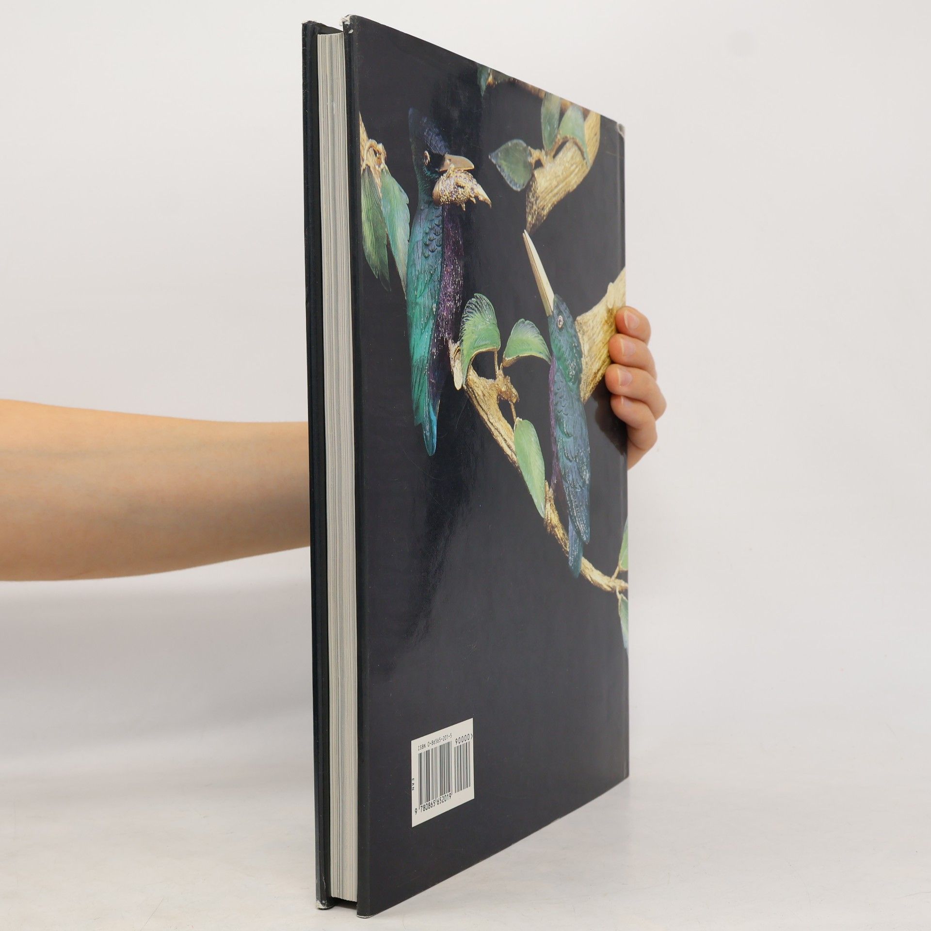 Janet Zapata The Art of Zadora