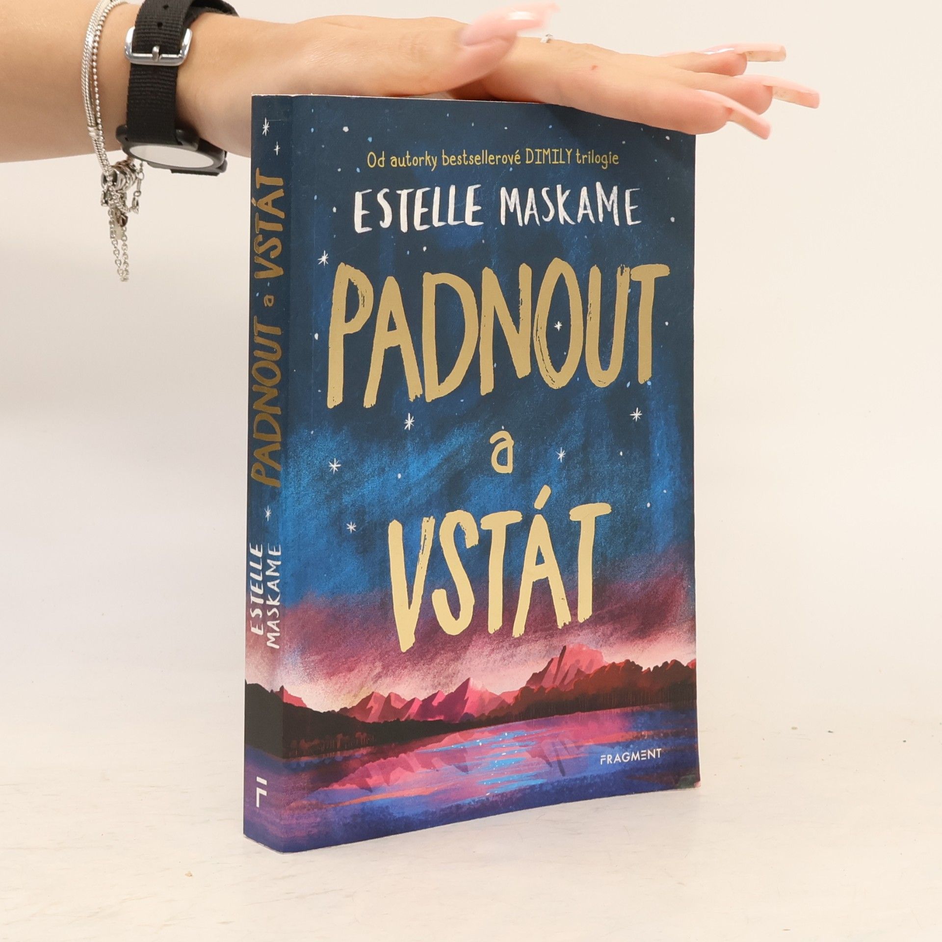 Estelle Maskame Padnout a vstát