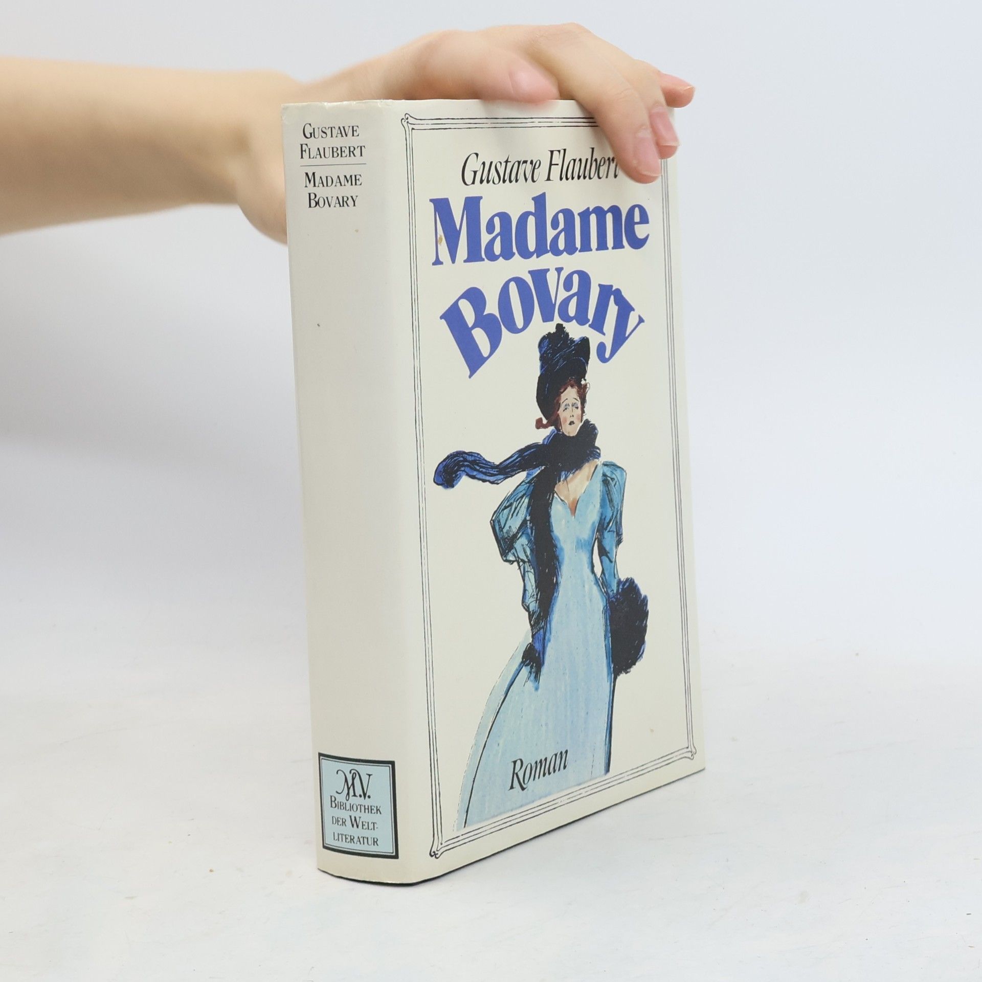 Gustave Flaubert Madame Bovary