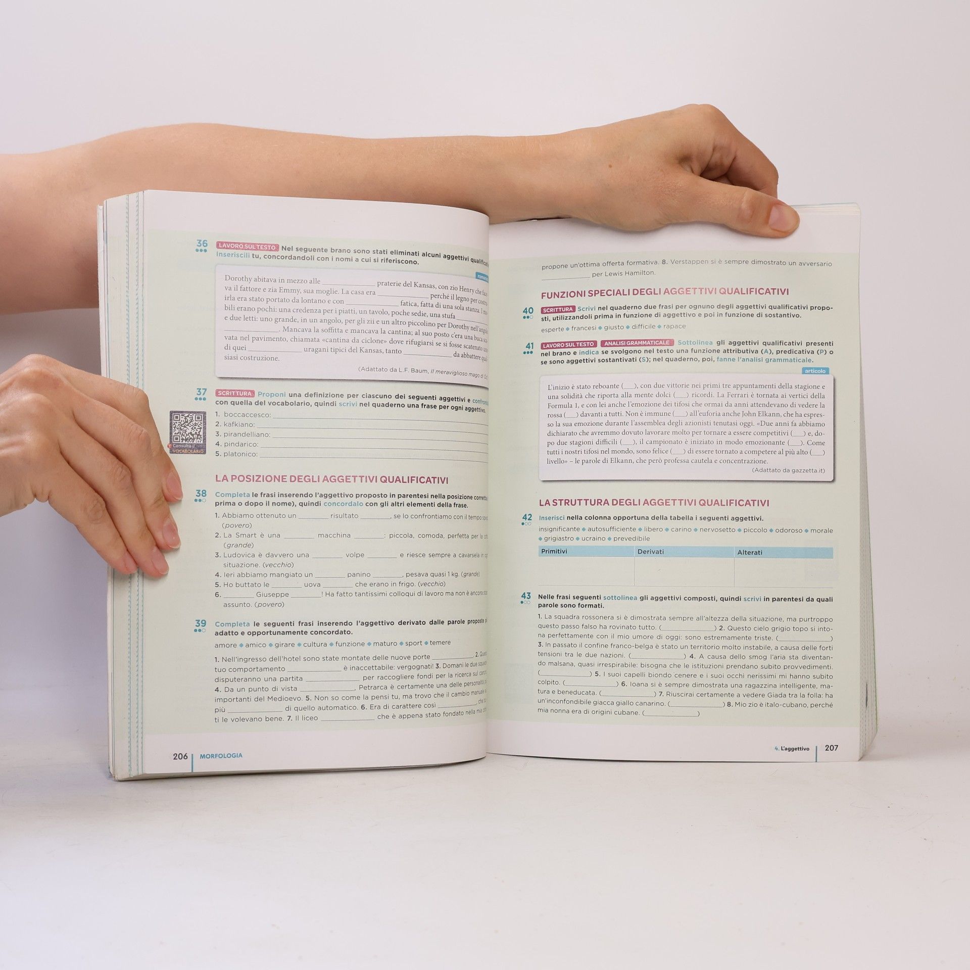 Fabio Rossi La grammatica Treccani. Per le scuole superiori. Con e-book. Con espansione online