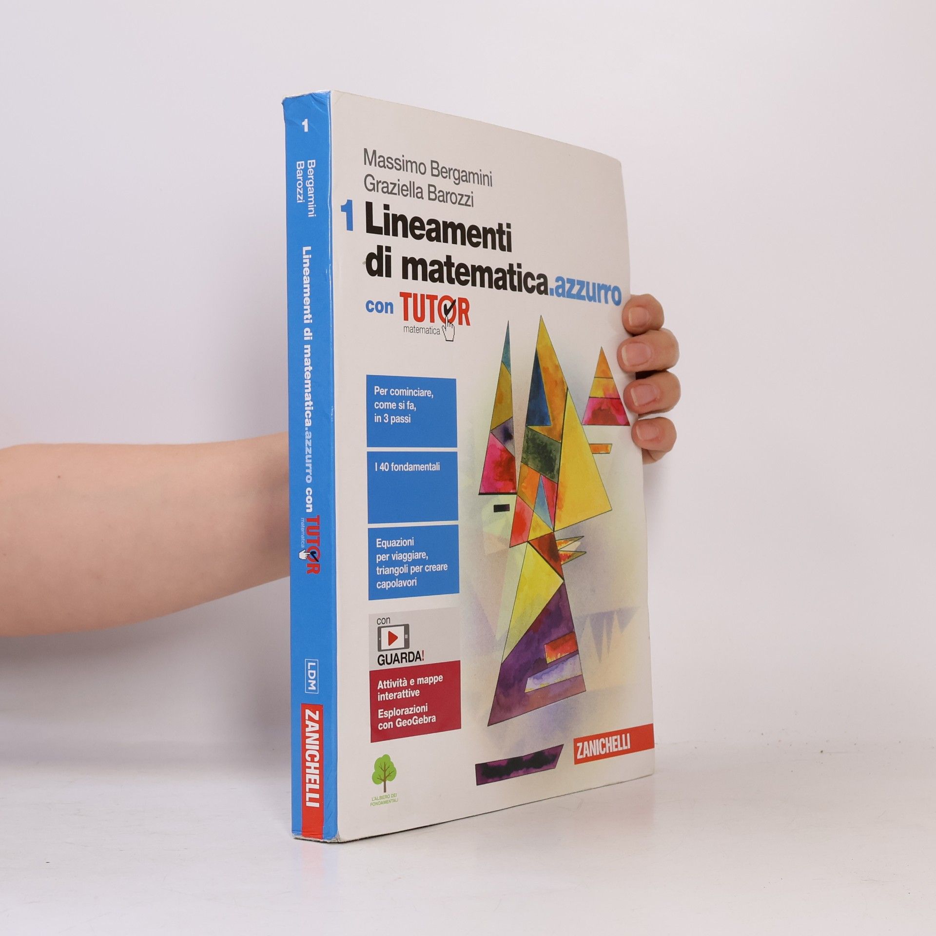 Graziella Barozzi Lineamenti di matematica