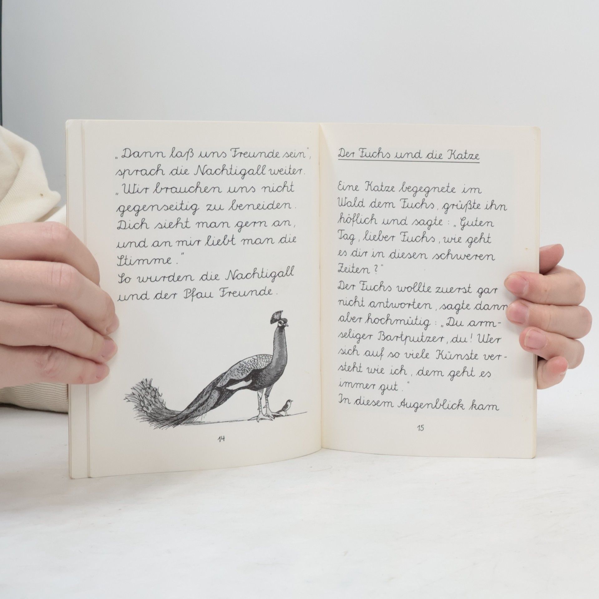 René Rilz Mein erstes Fabelbuch