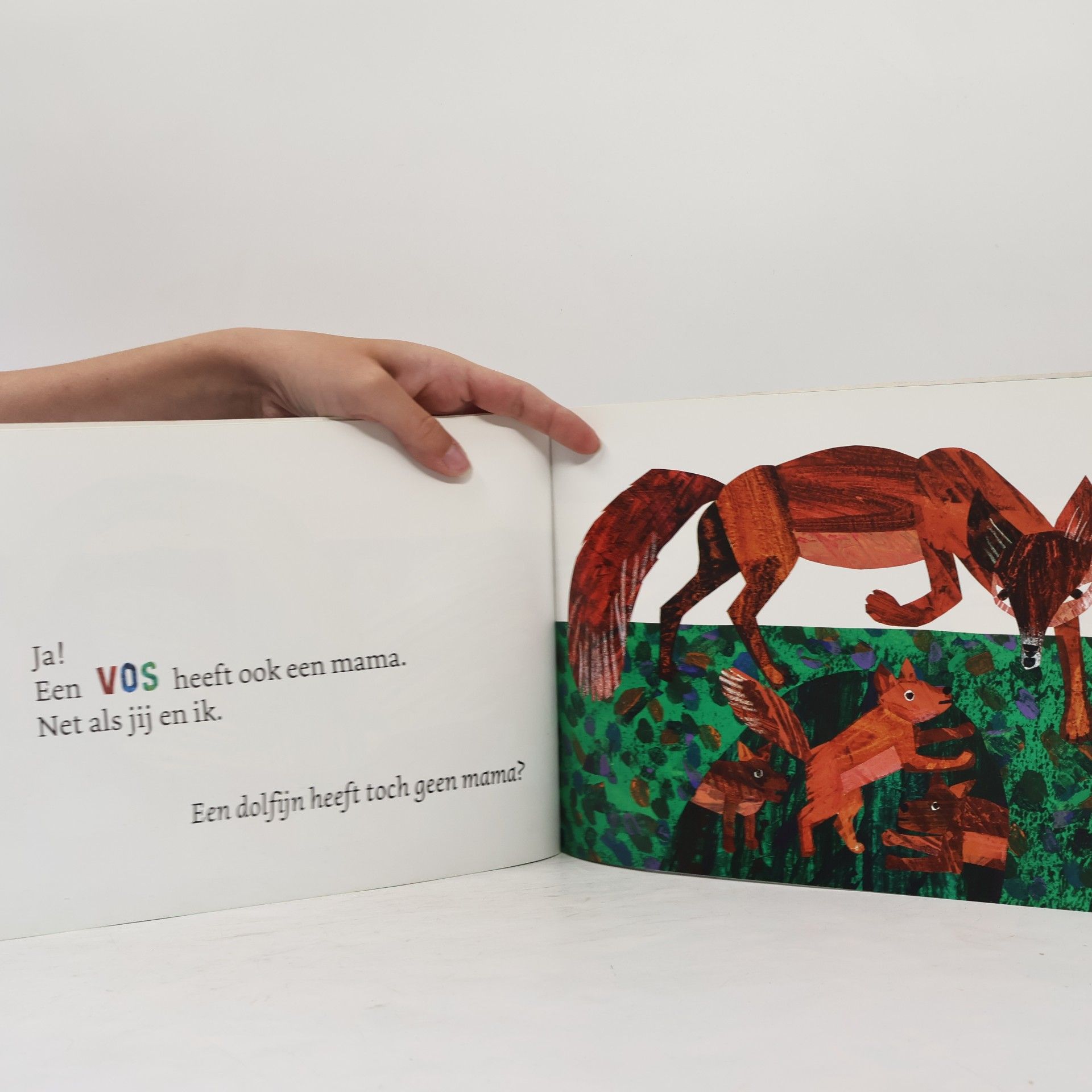 Eric Carle Heeft een kangoeroe een mama?