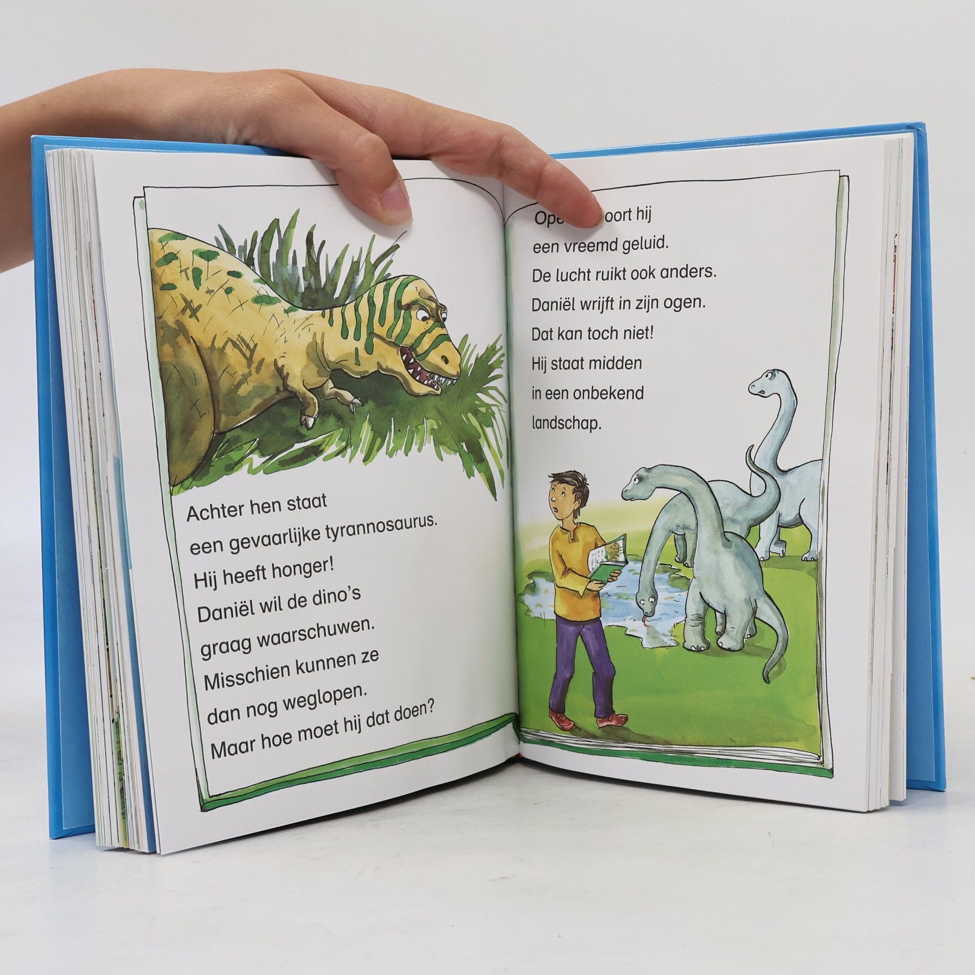 Ulli Schubert Het allerleukste leesboek voor jongens