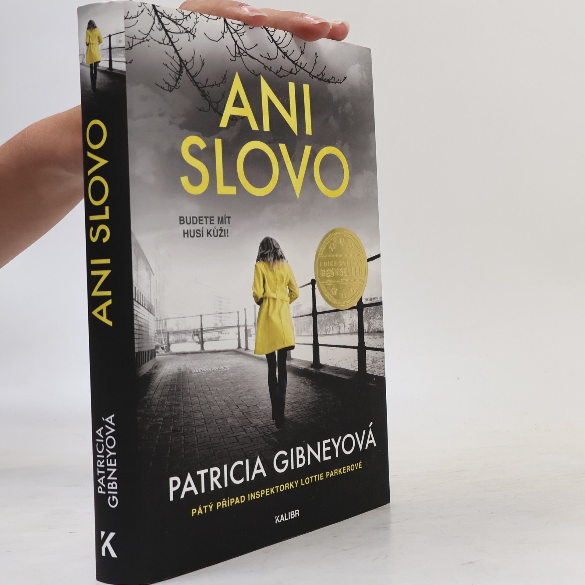 Patricia Gibney Ani slovo
