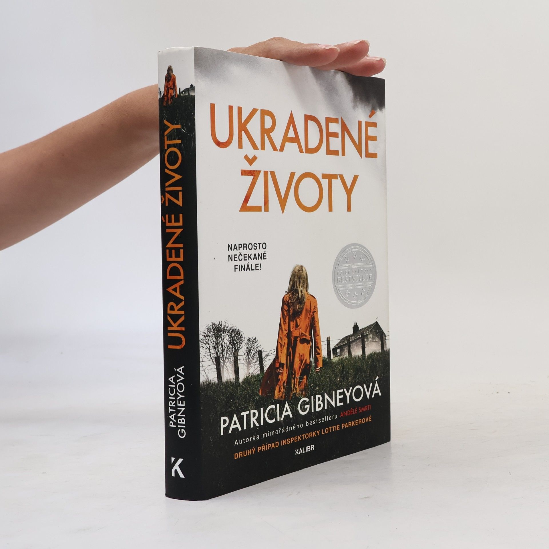 Patricia Gibney Ukradené životy