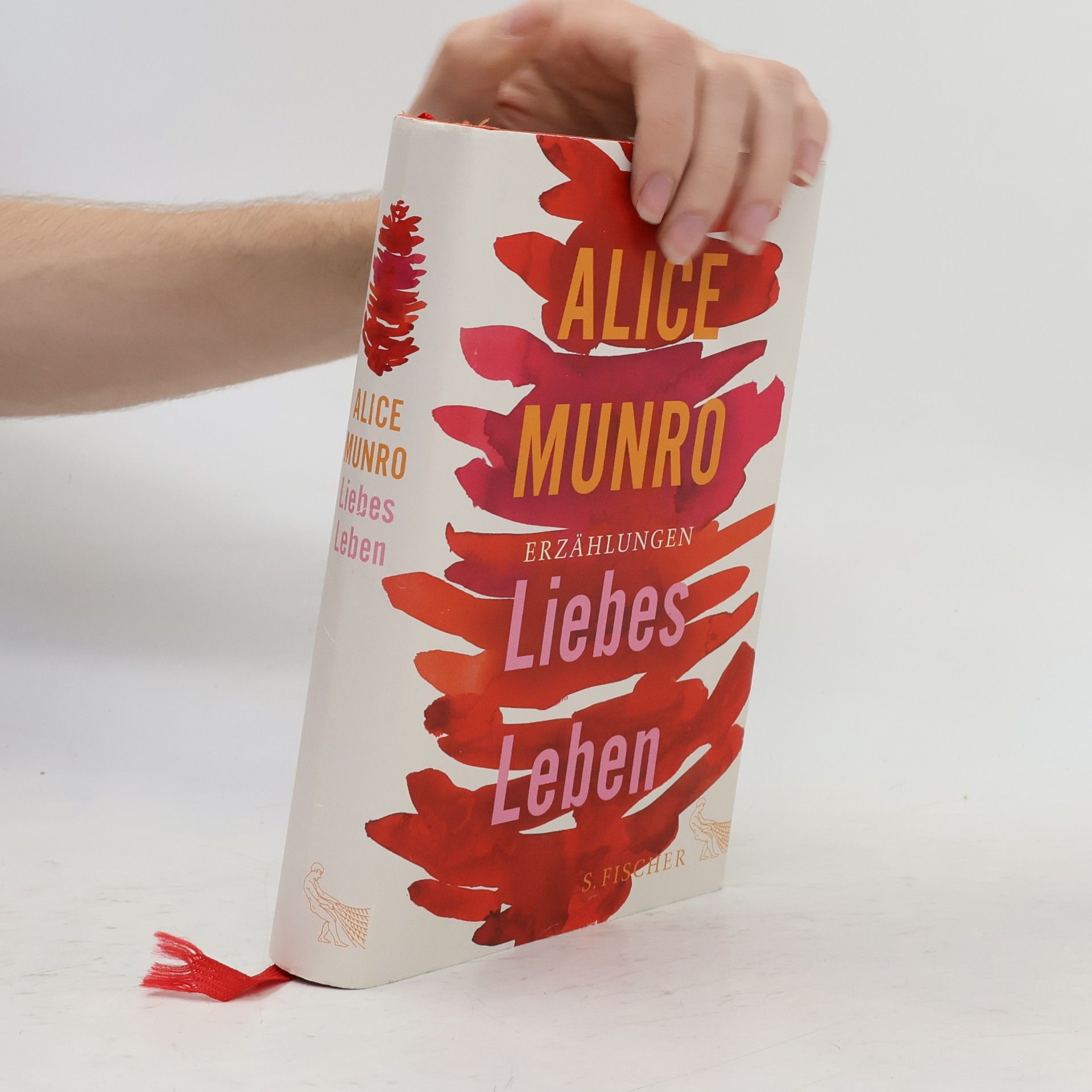 Alice Munro Liebes Leben