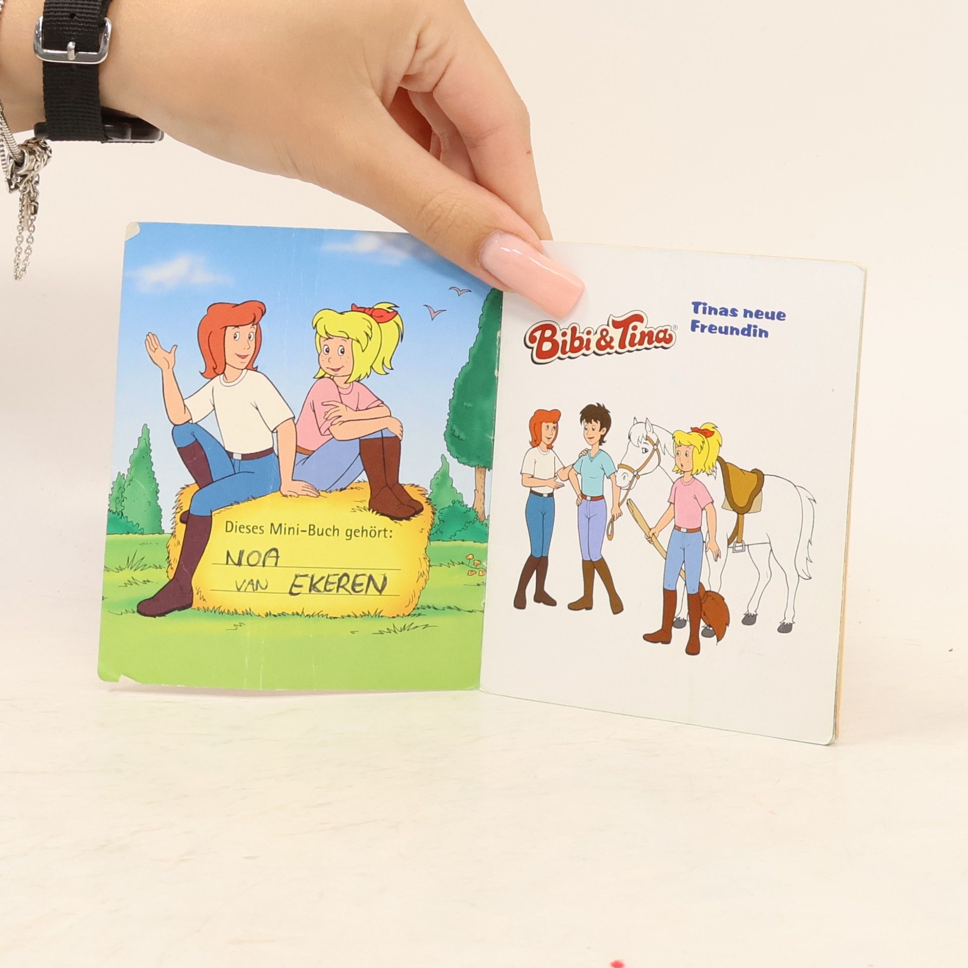 Kolektiv autorů Bibi & Tina. Tinas neue Freundin