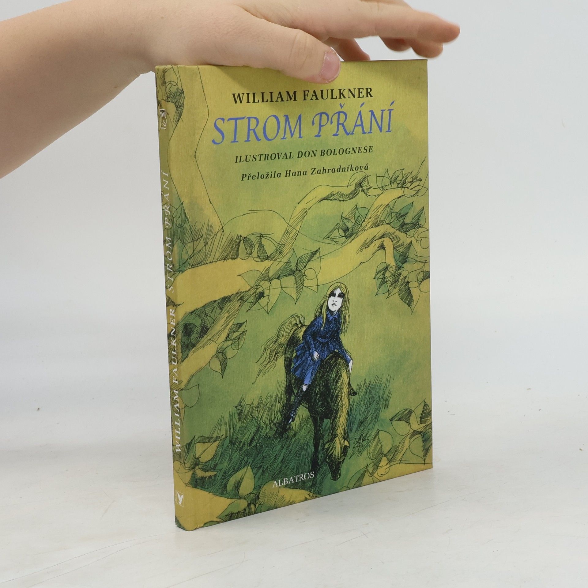 William Faulkner Strom přání