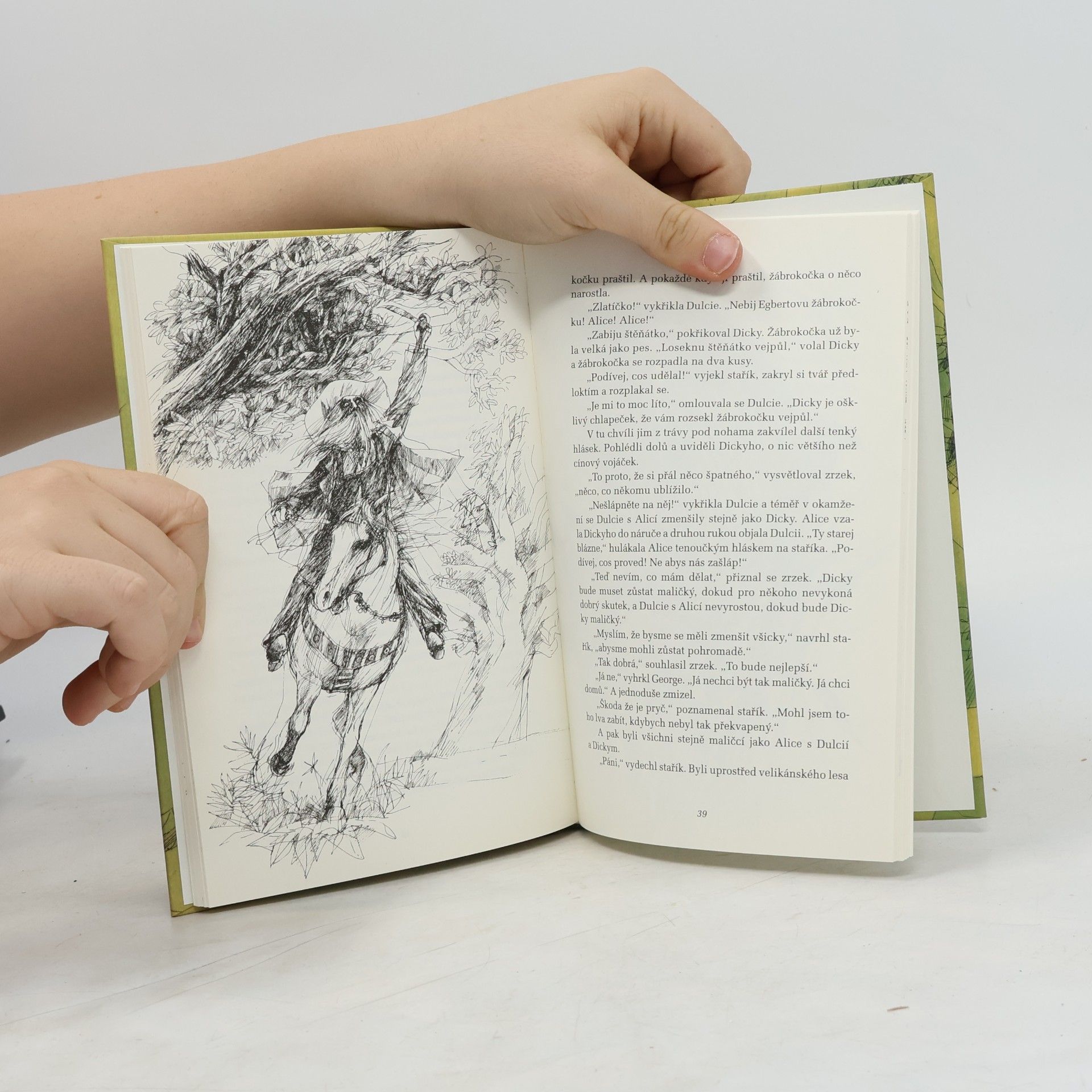 William Faulkner Strom přání