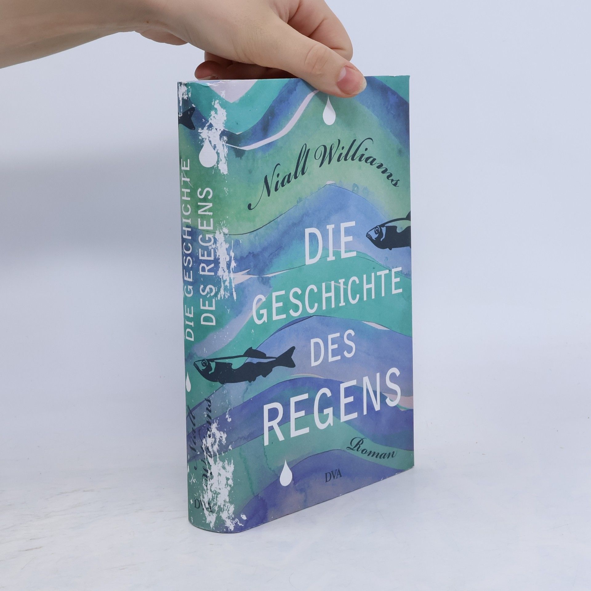 Niall Williams Die Geschichte des Regens