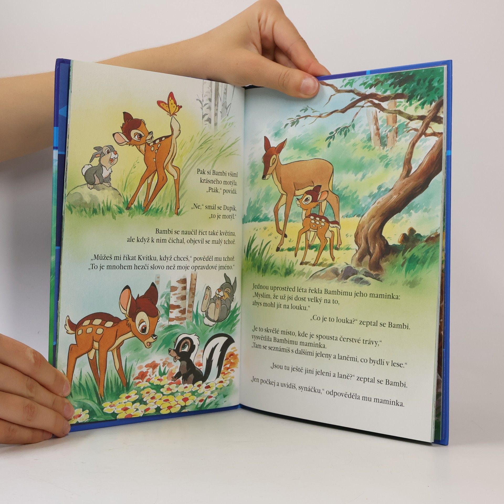 kolektiv Kouzelné pohádky 6. Bambi